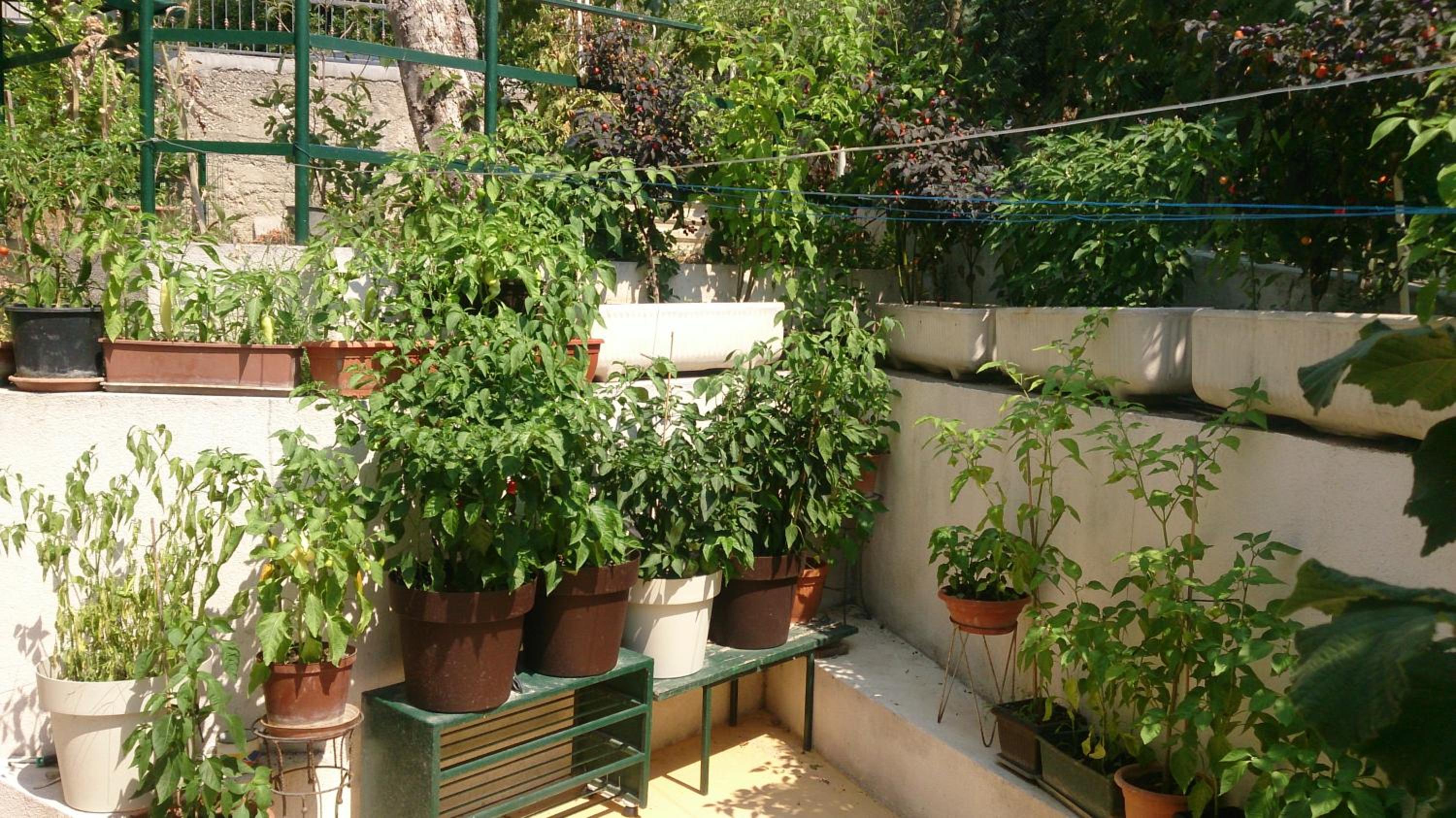 Photo 43