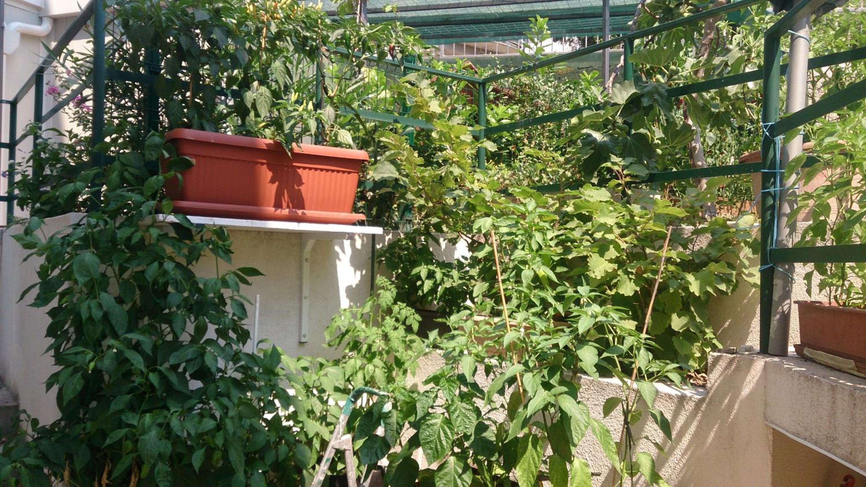 Photo 44