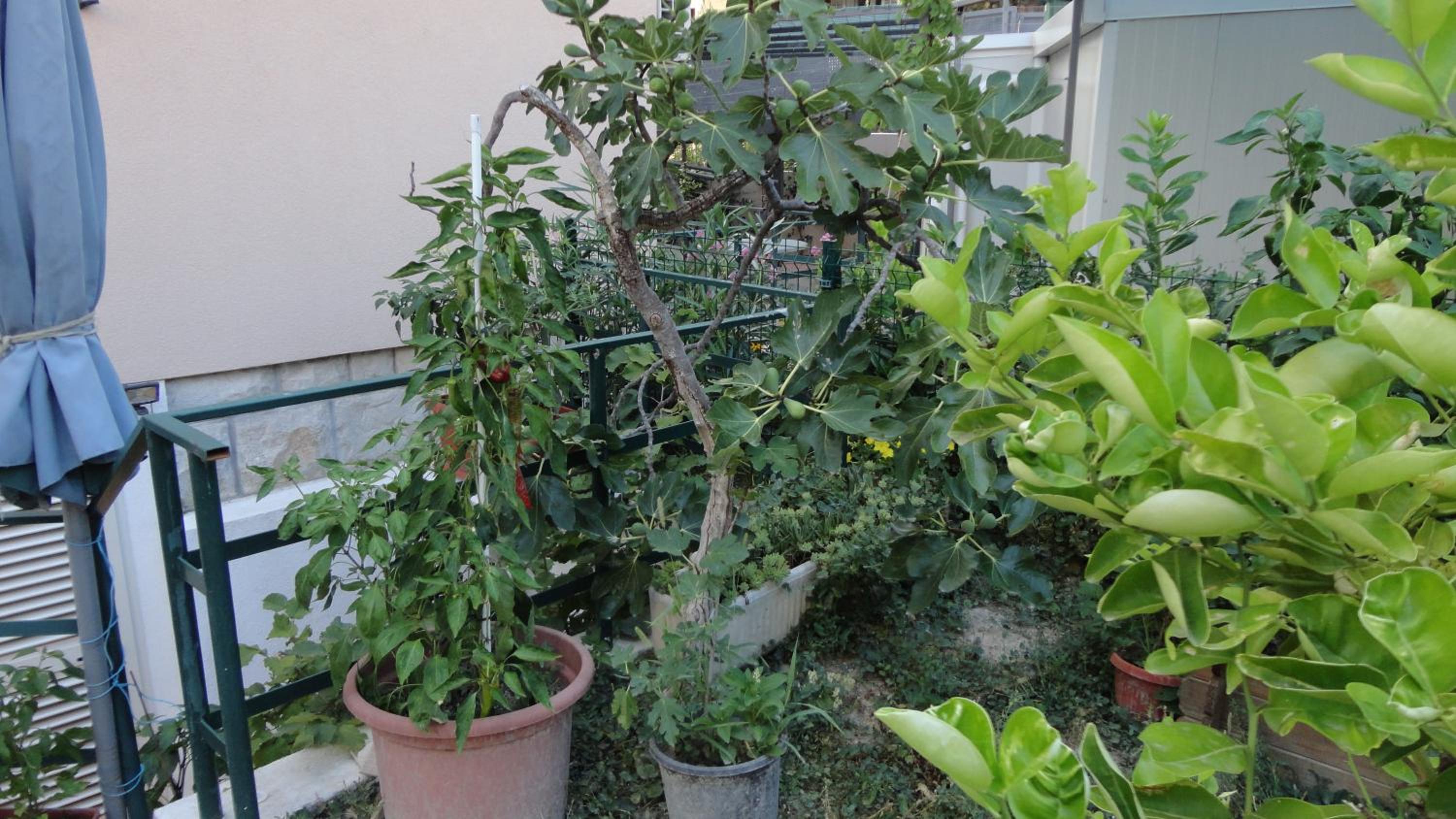 Photo 48