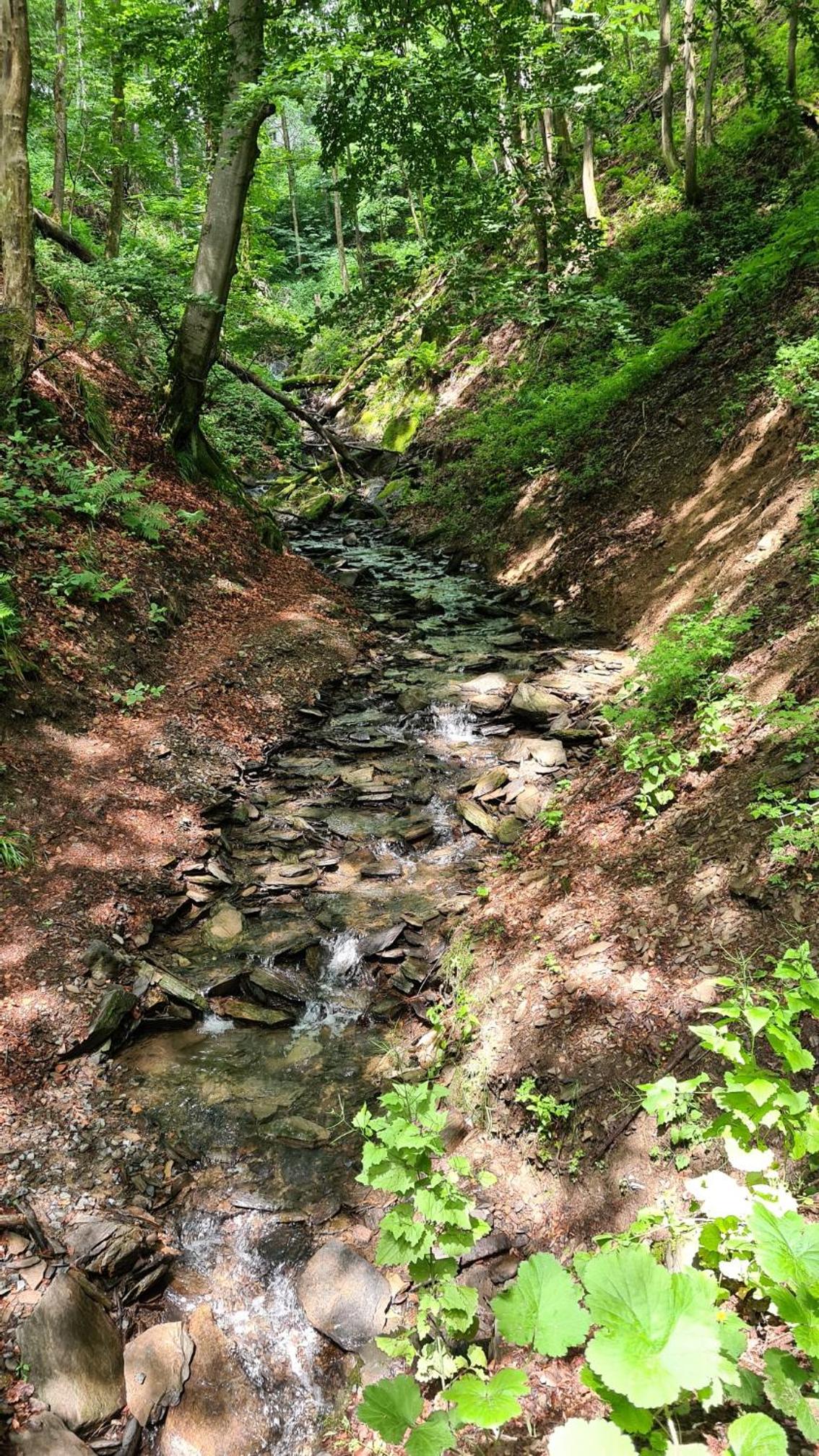 Photo 48