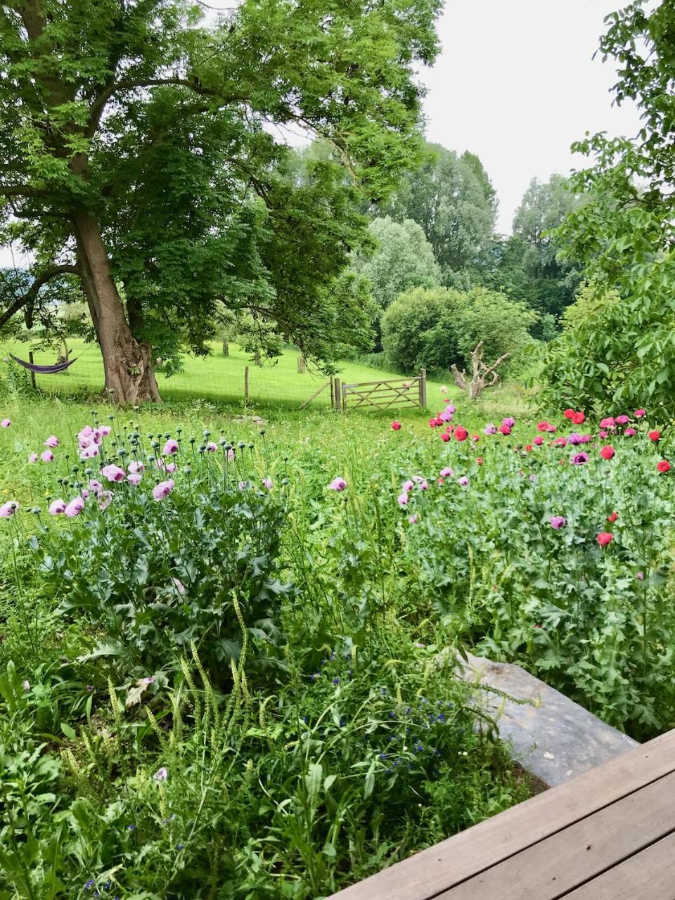 Nachtegael Zomerhuis, idyllische woning in de Vlaamse Ardennen