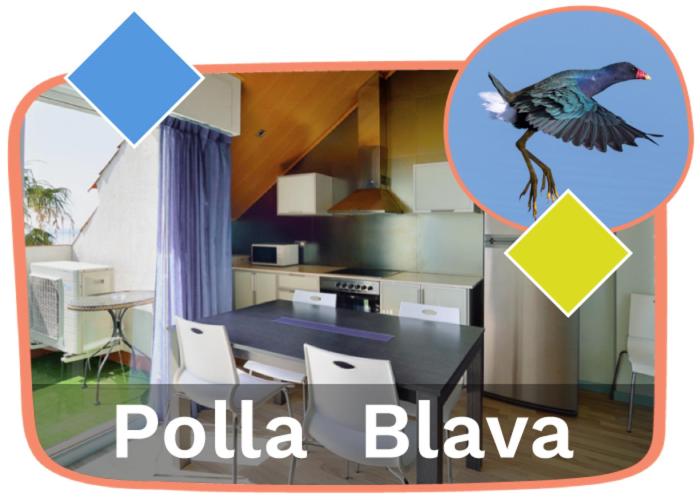 Ornis Apartments Platja