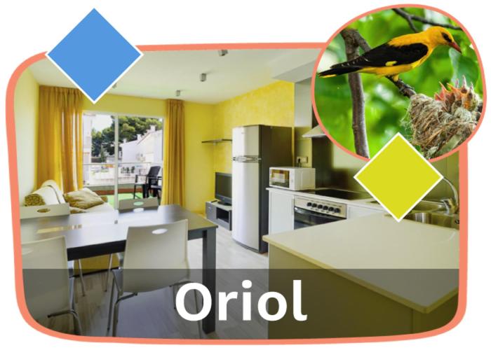 Ornis Apartments Platja