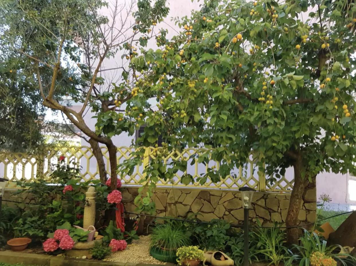Lovely Flat in Northern Sardinia (Valledoria)