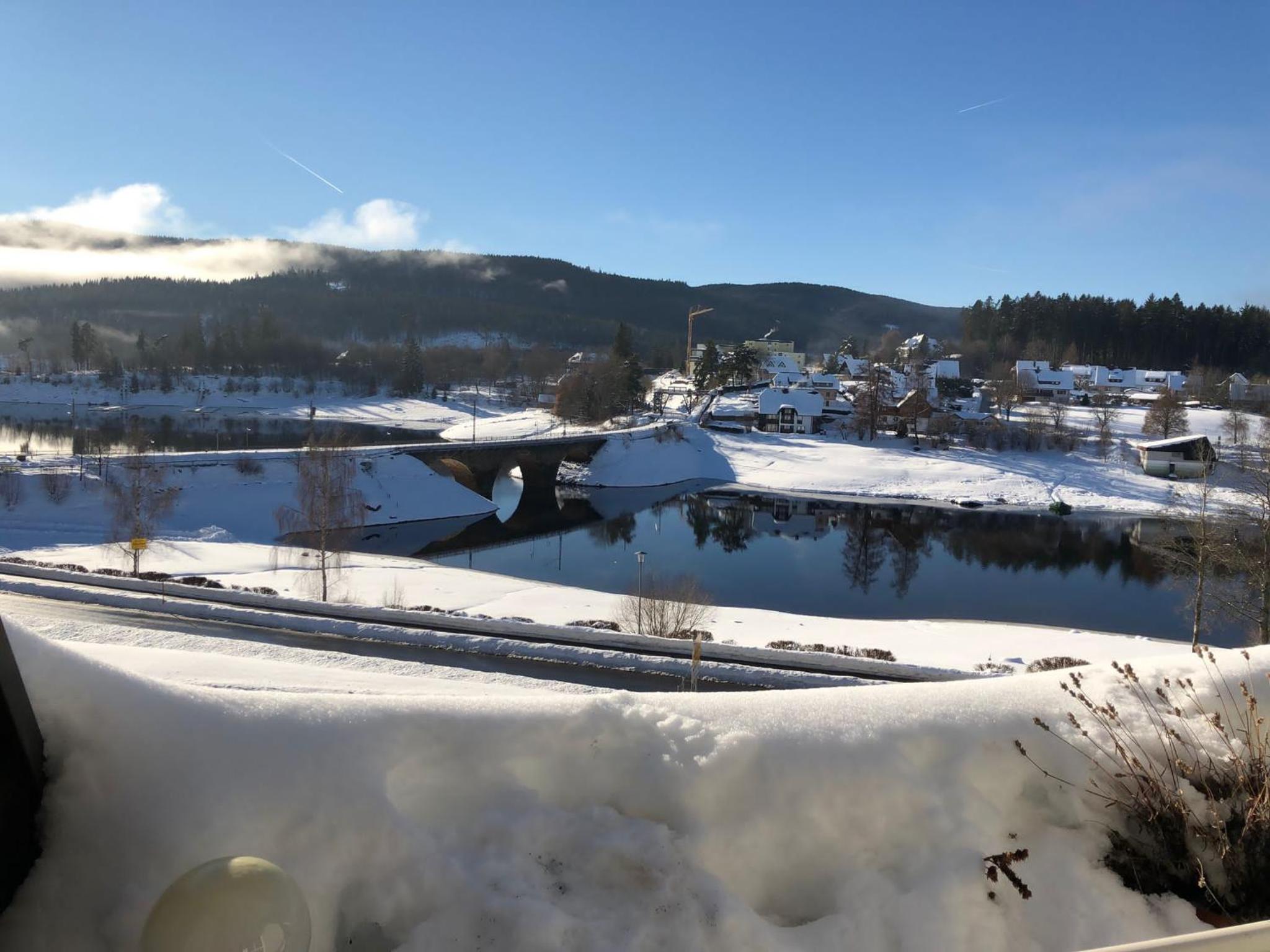 Apartment Blackforest-Schluchsee view 3