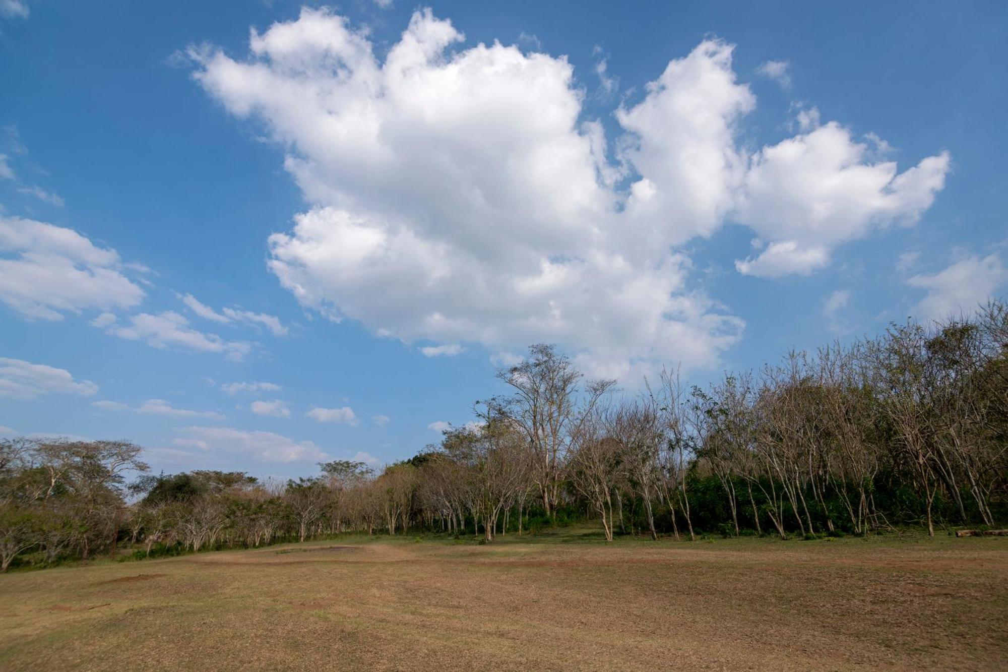 Bamboo Banks Farm & Guest House view 4