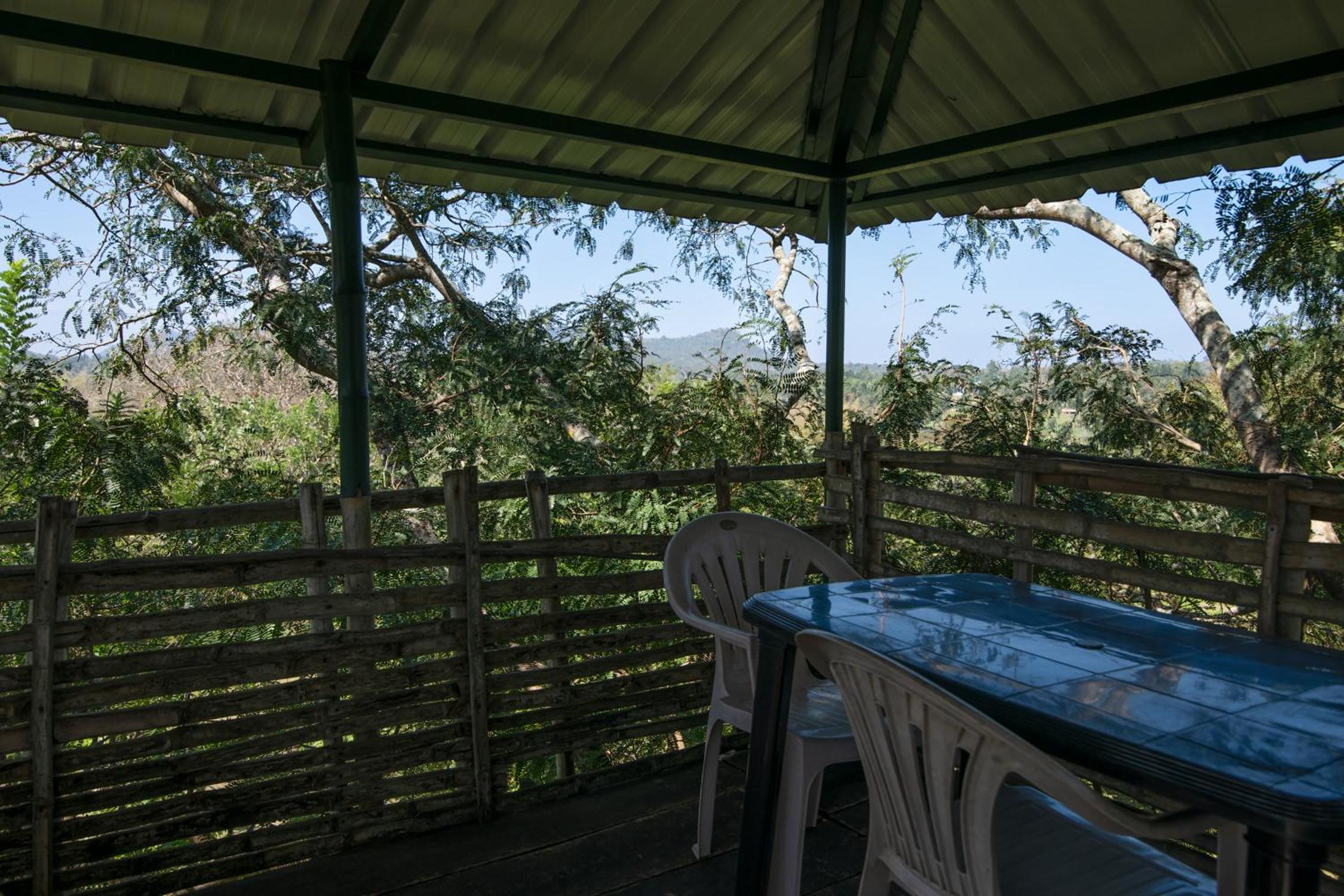Bamboo Banks Farm & Guest House view 5