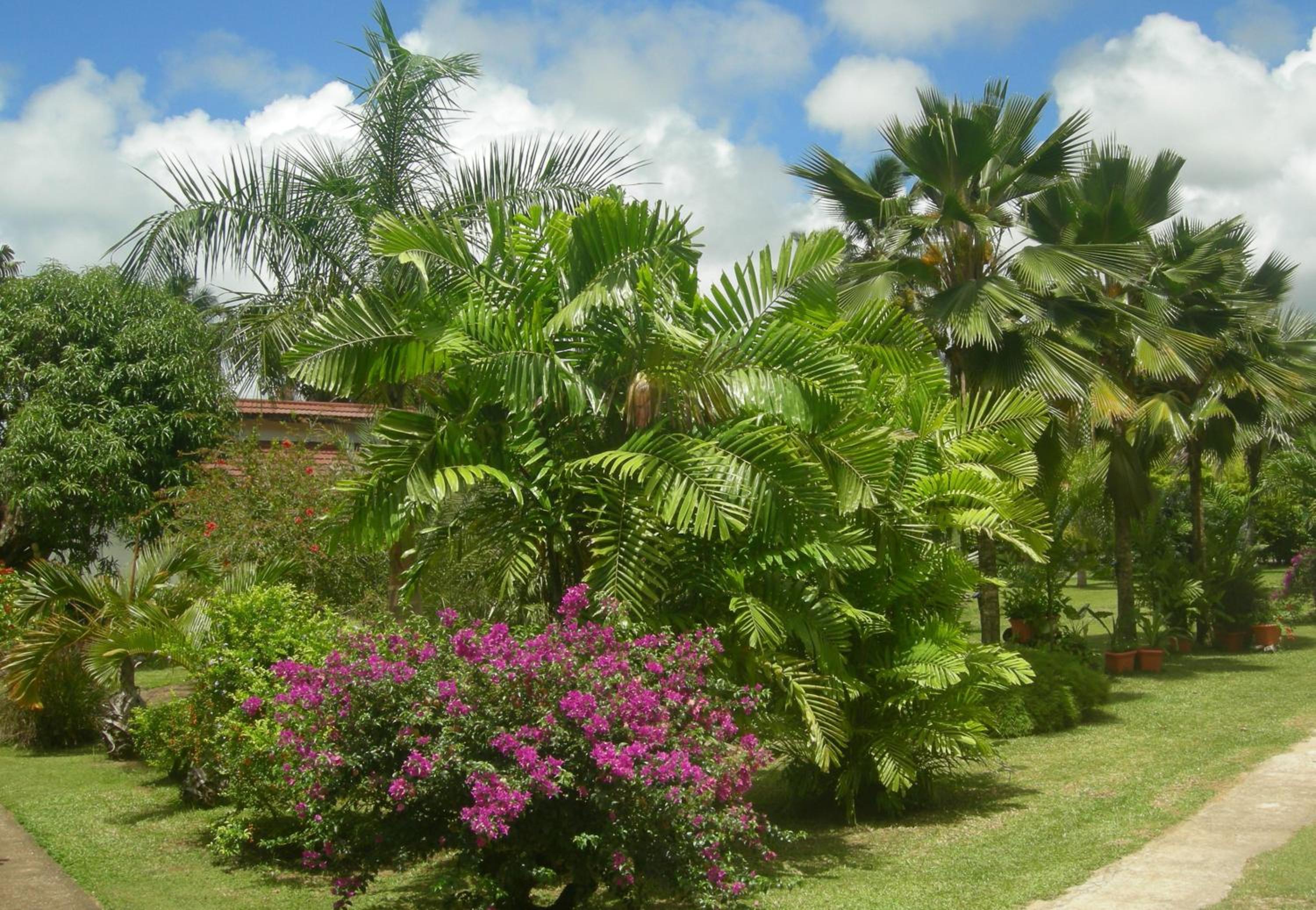 Photo 48