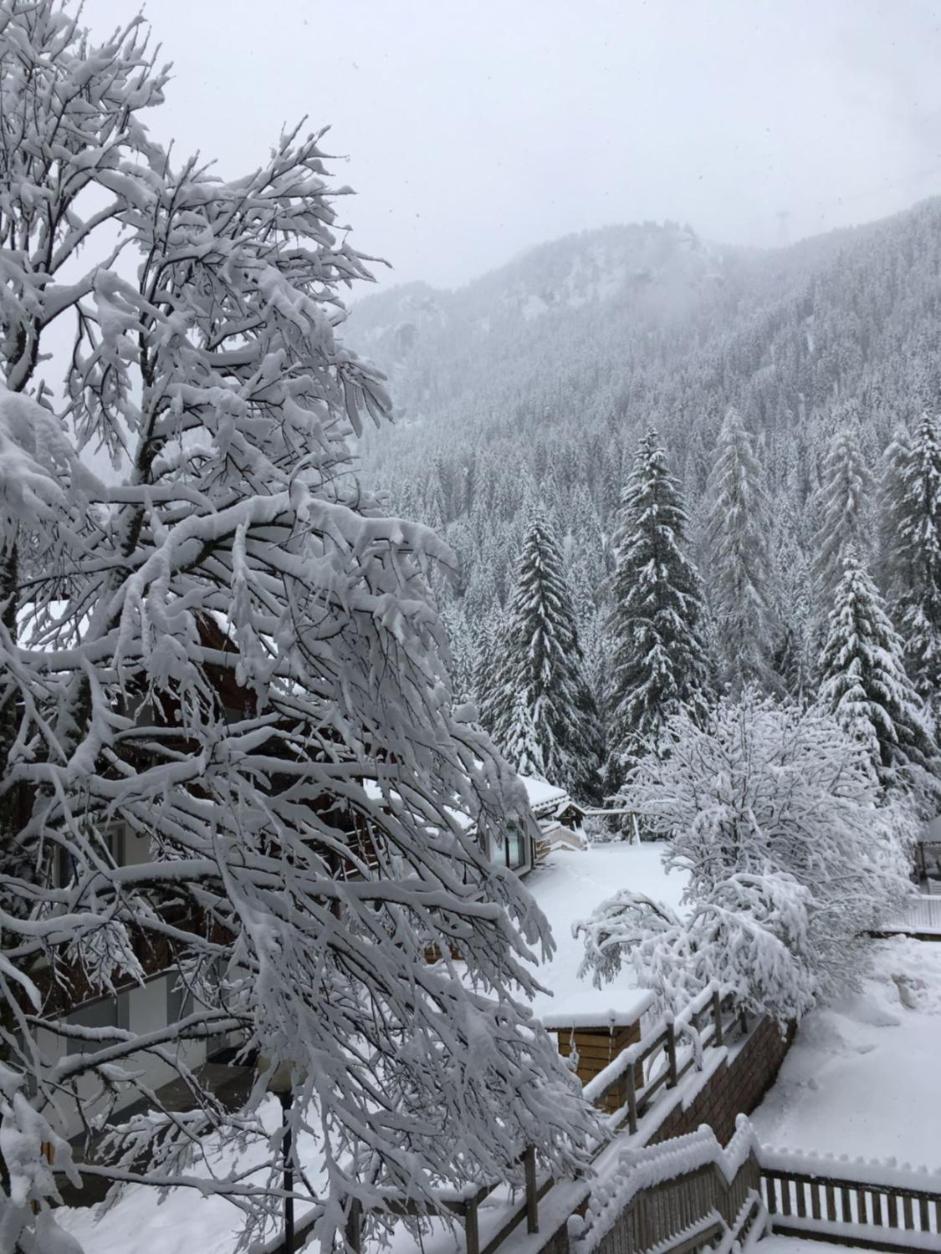 MARMOLADA APARTMENTS on Sellaronda-Ski-Tour