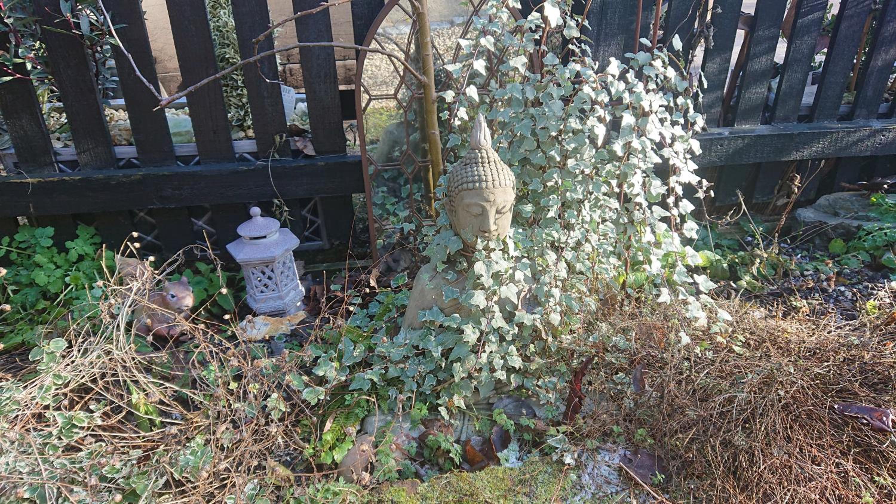 Photo 24