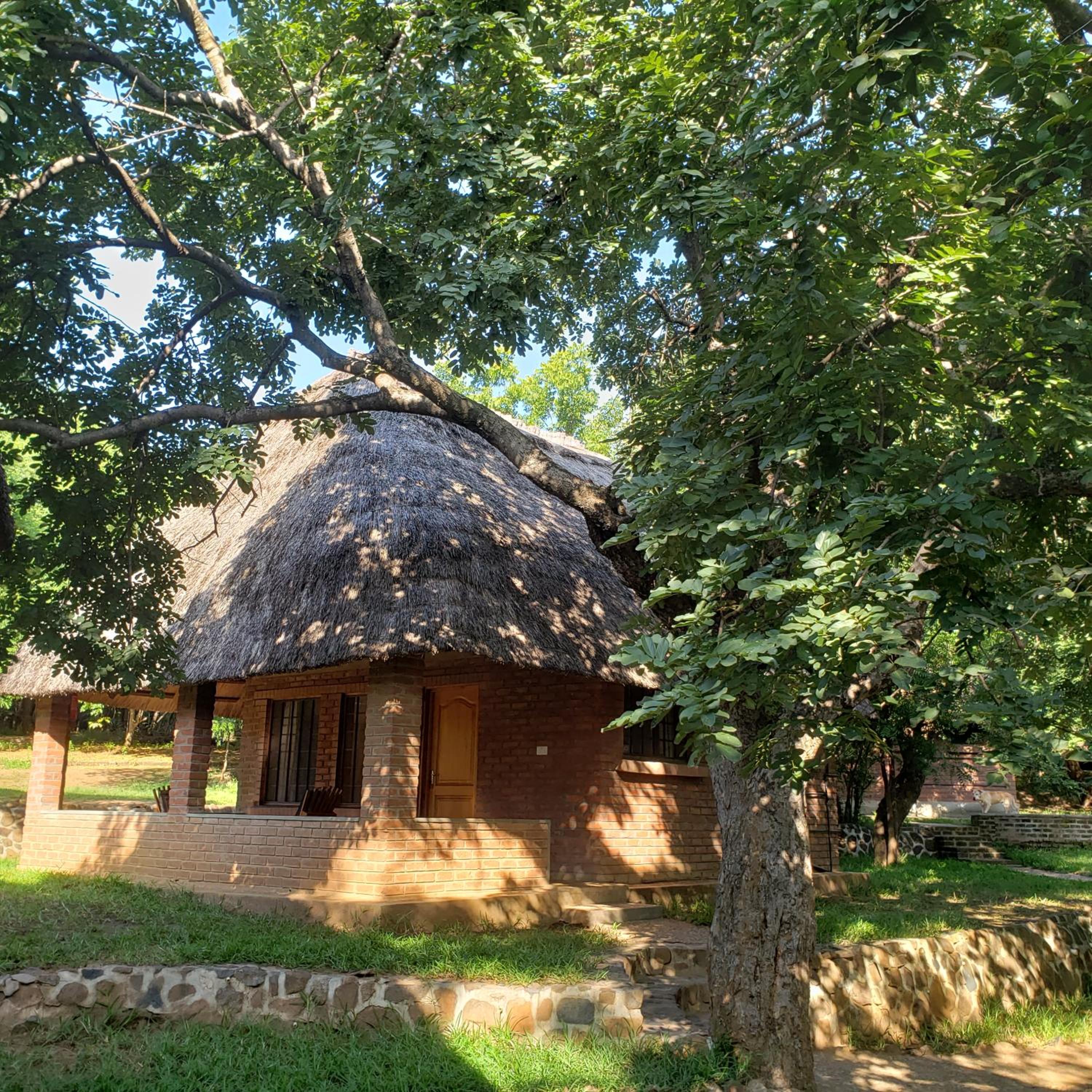 Ng'ona Lodge