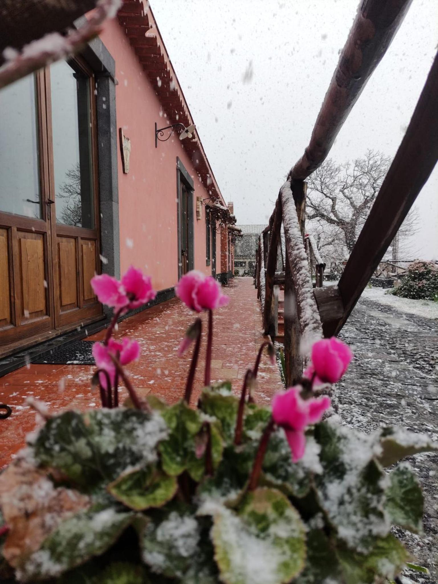 Feudo Magazzeni Etna