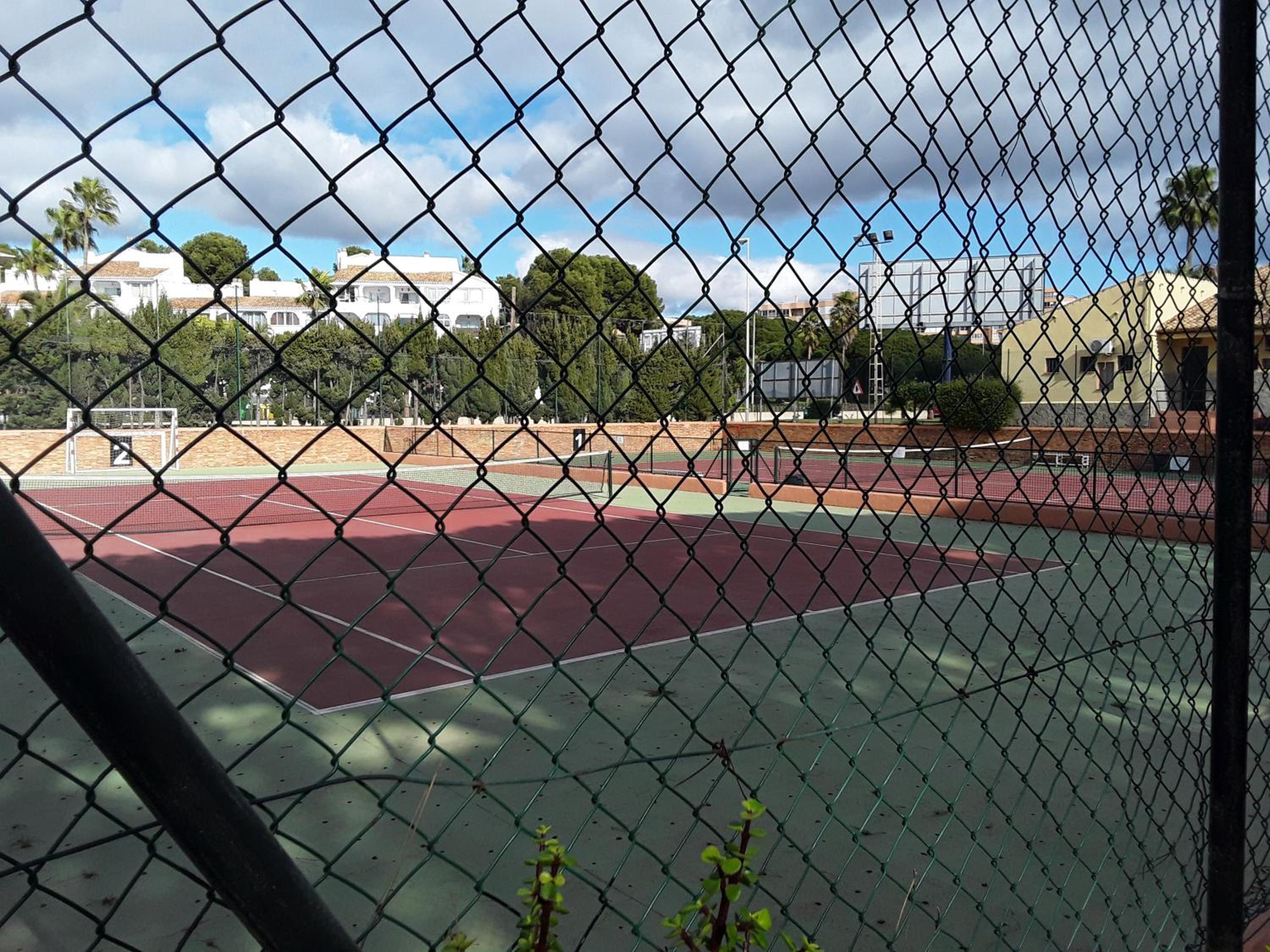 Photo 21