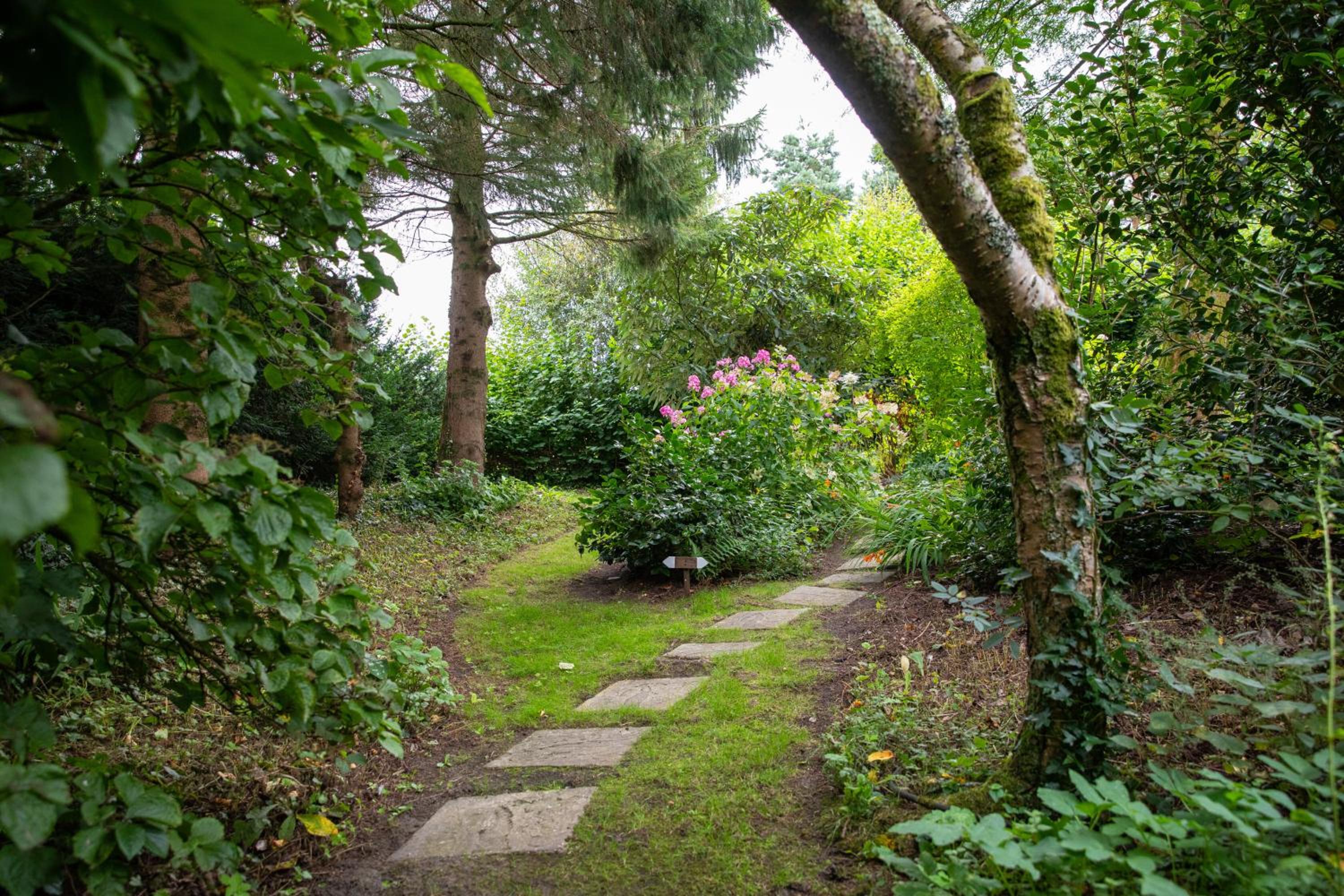 Woodcutter's Cottage