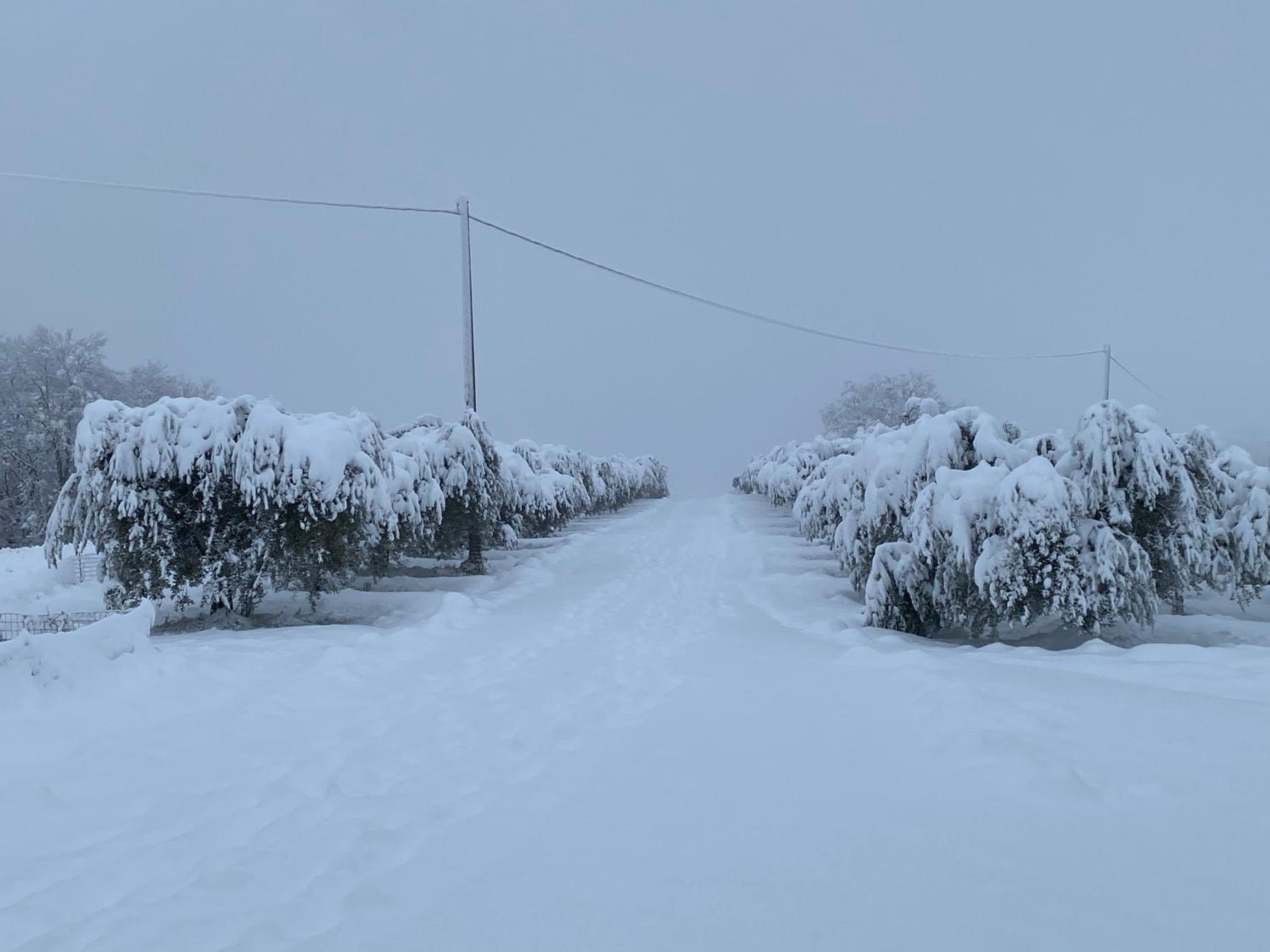 Casa vacanze fra gli ulivi