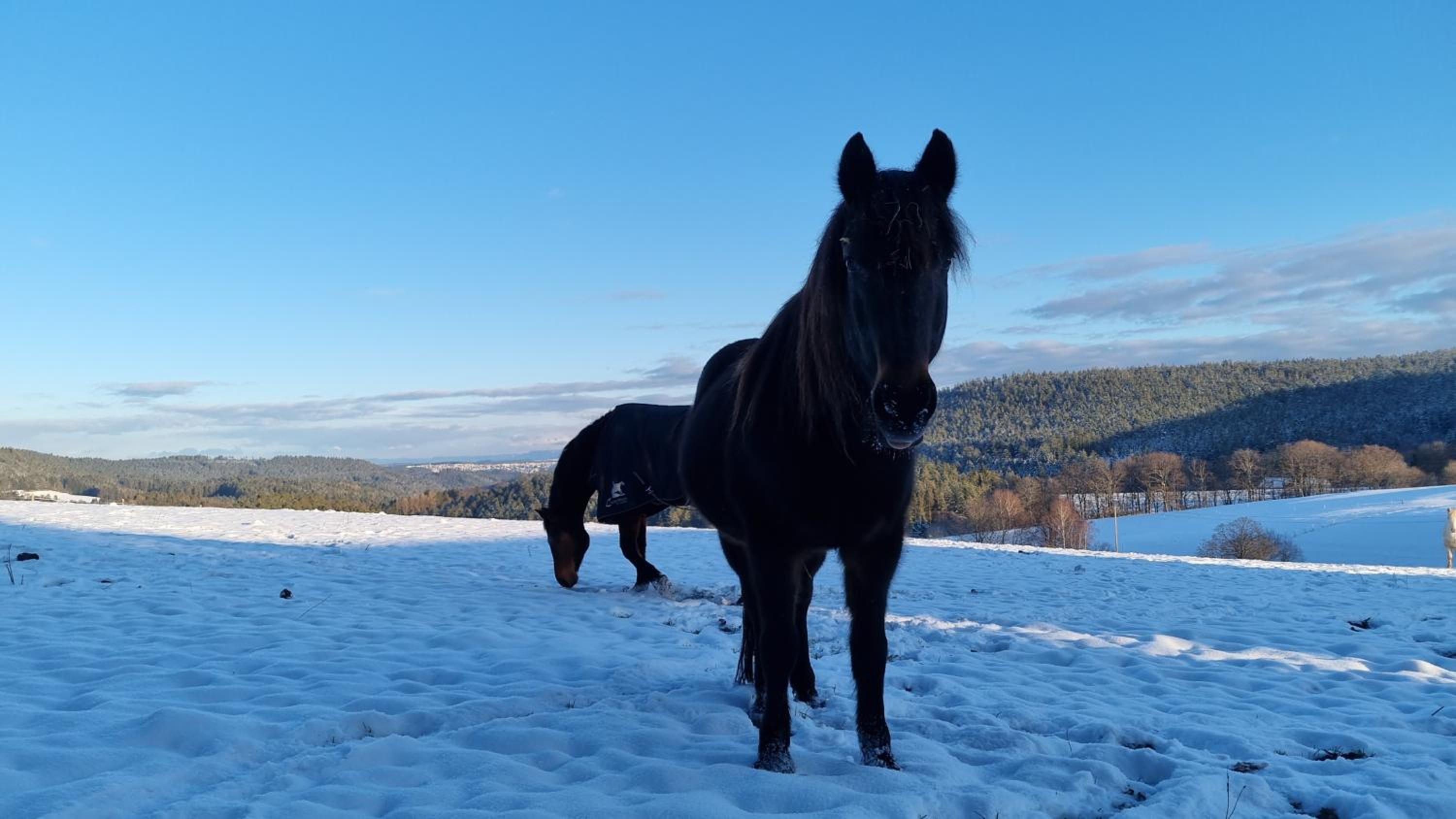 Urlaub an der Grenze