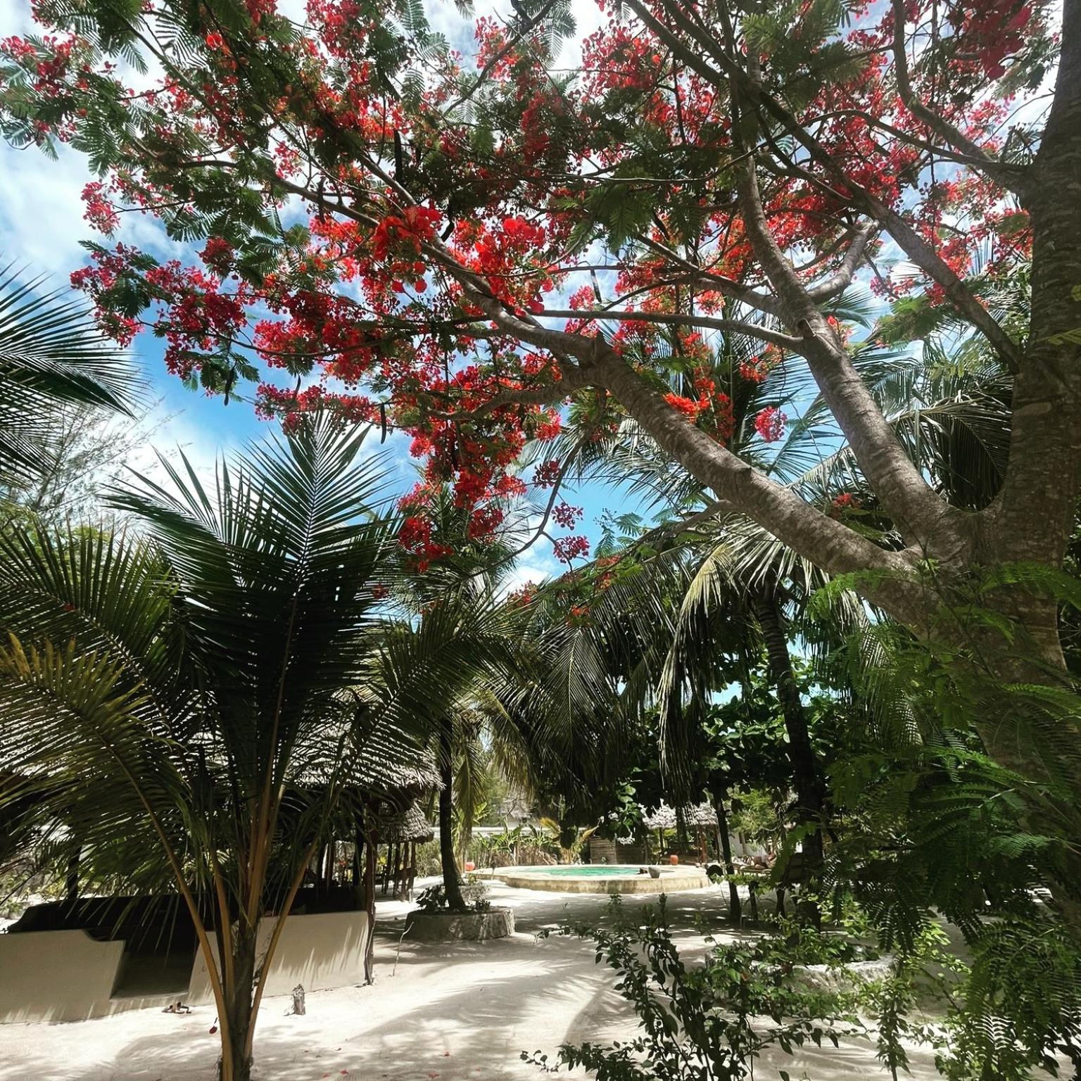 Mpole Bungalows