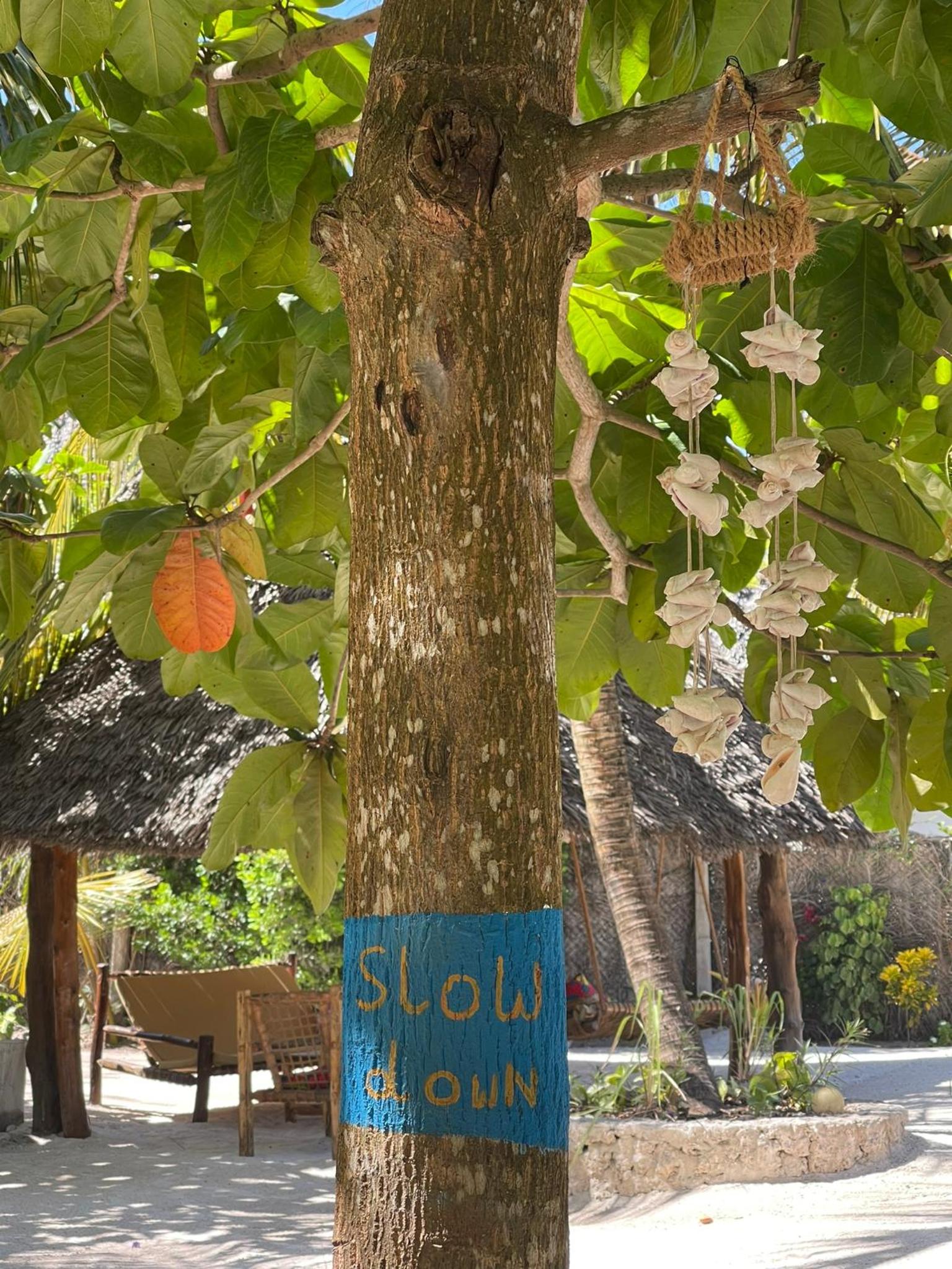 Mpole Bungalows