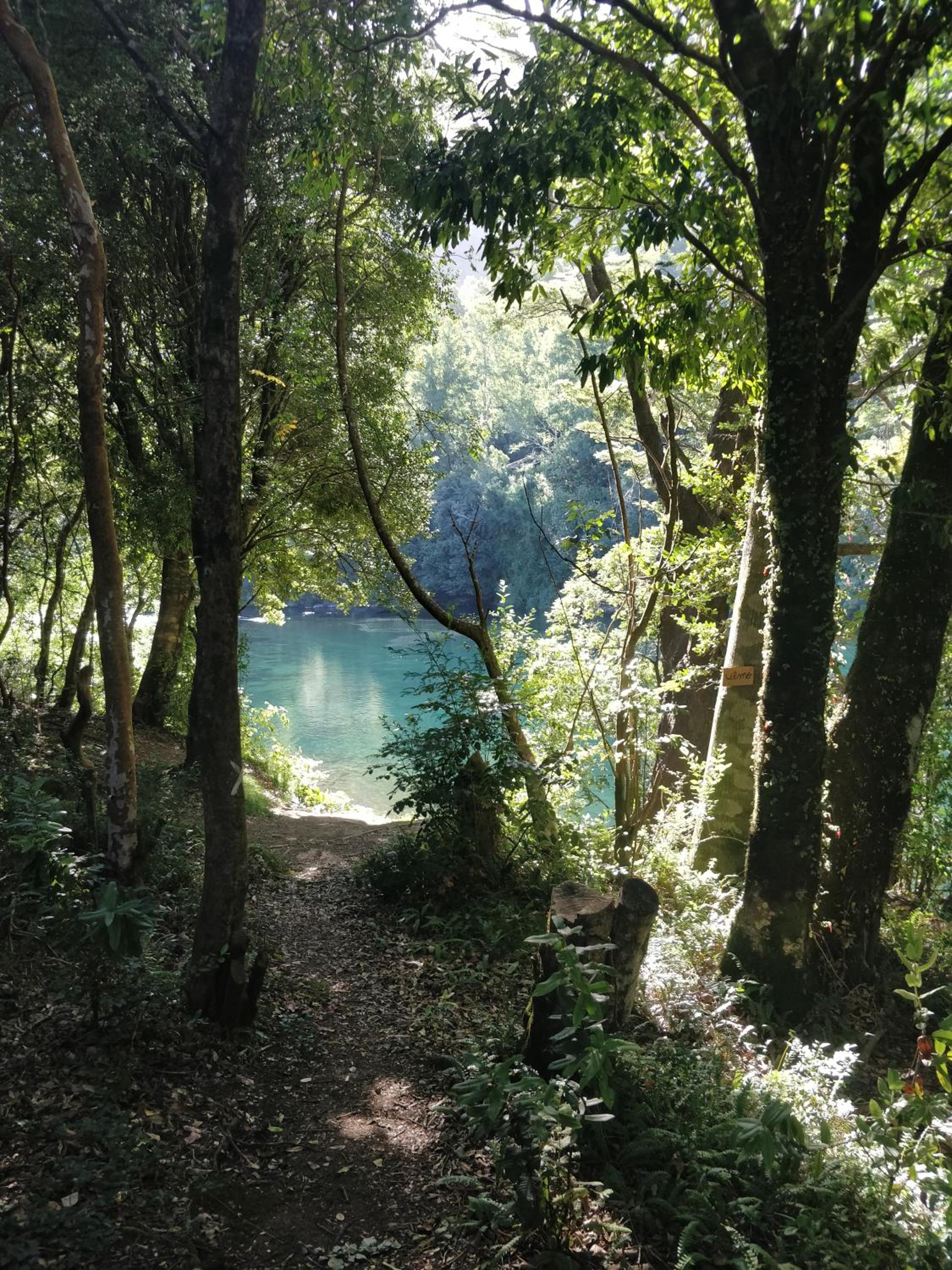 Photo 250