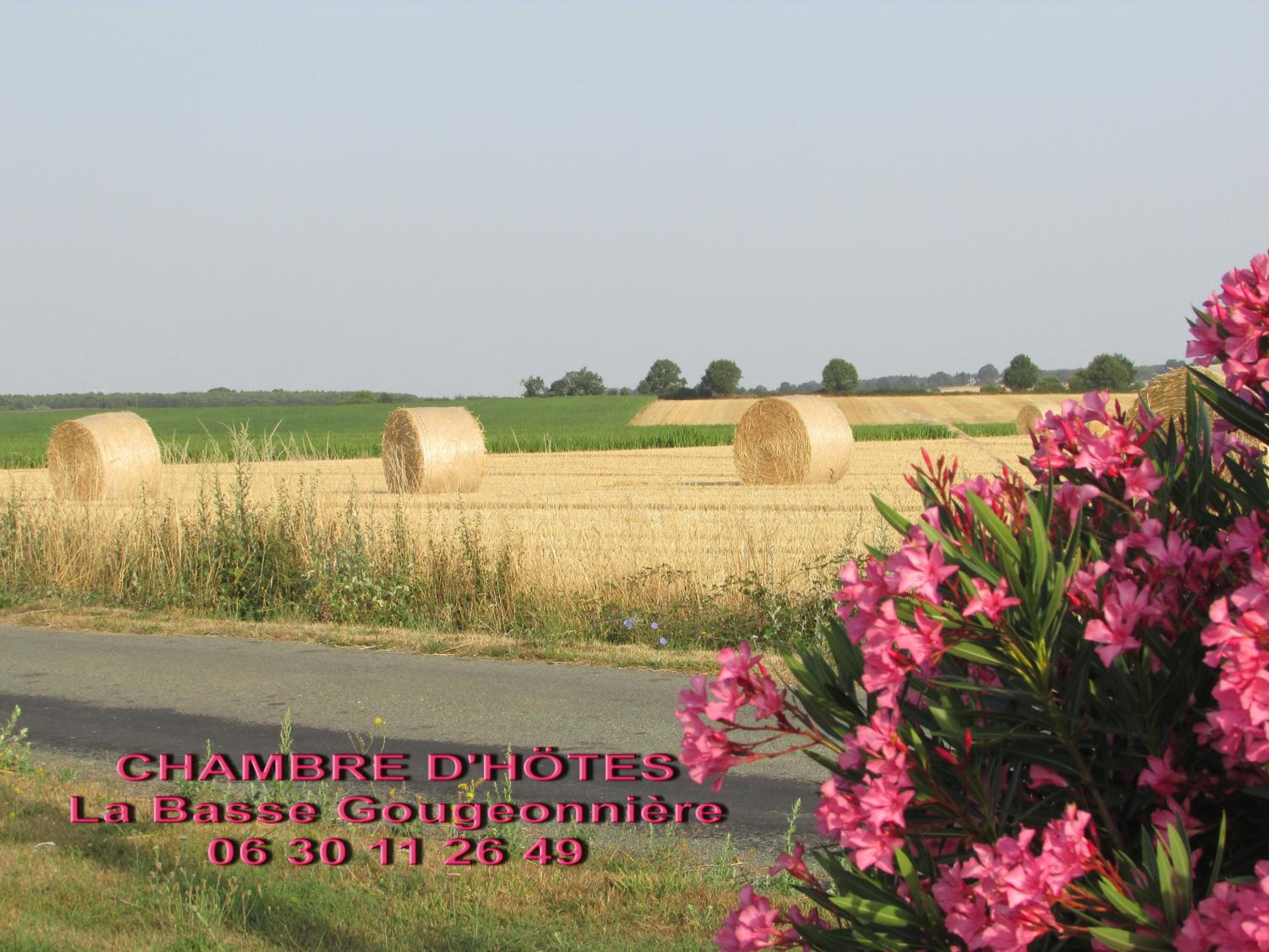 Chambre D'hôtes La Basse Gougeonnière view 2