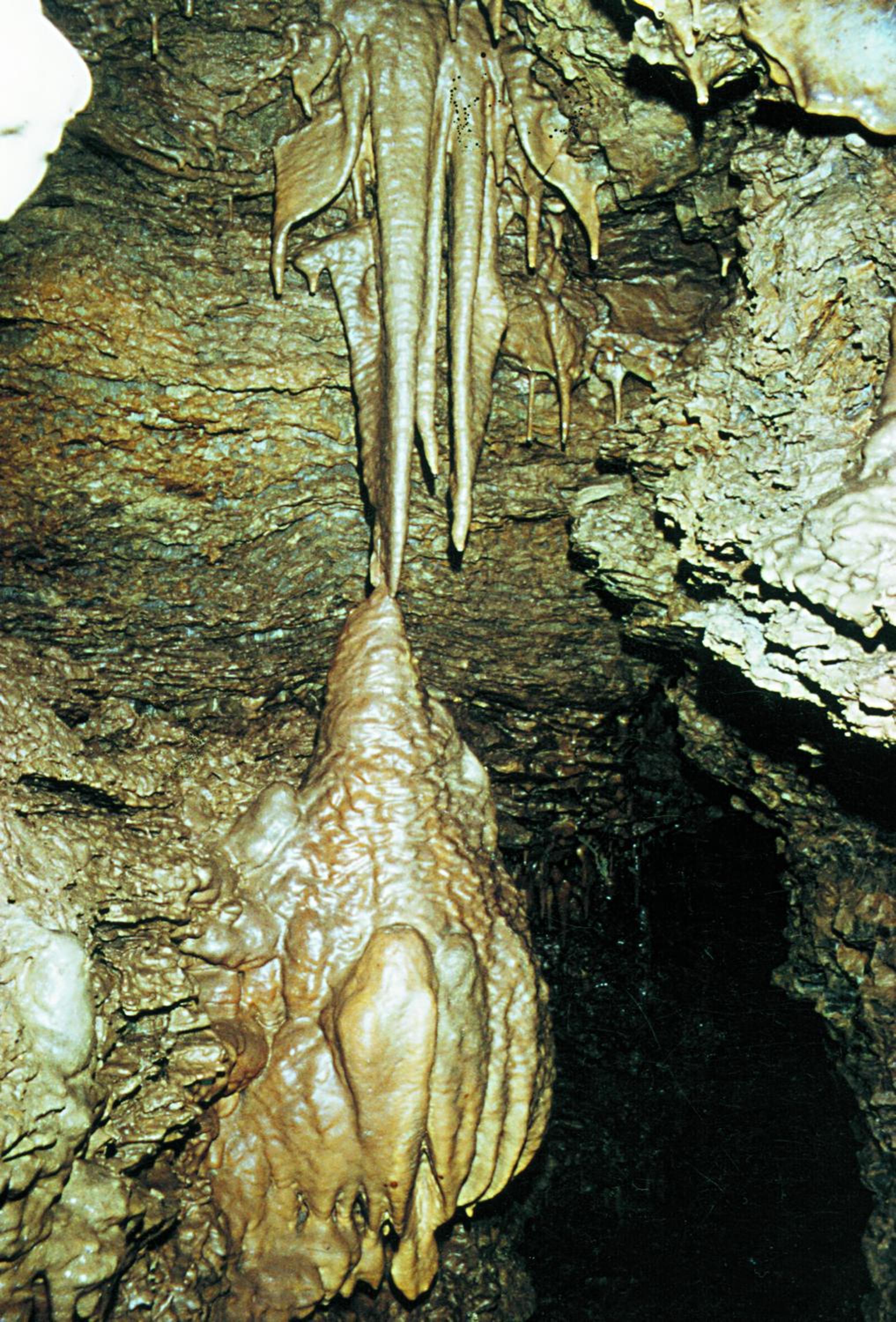 Photo 46