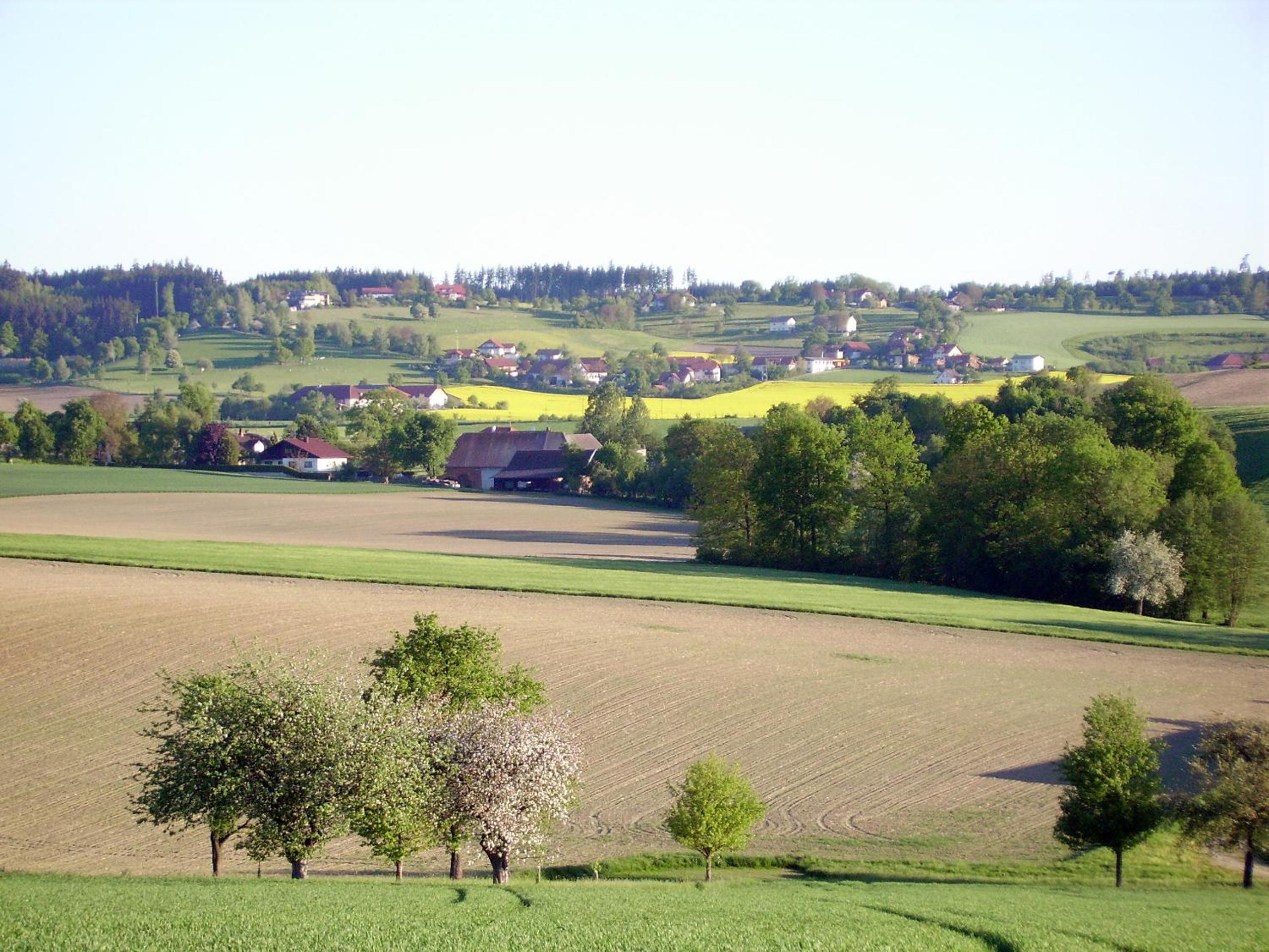 Photo 44