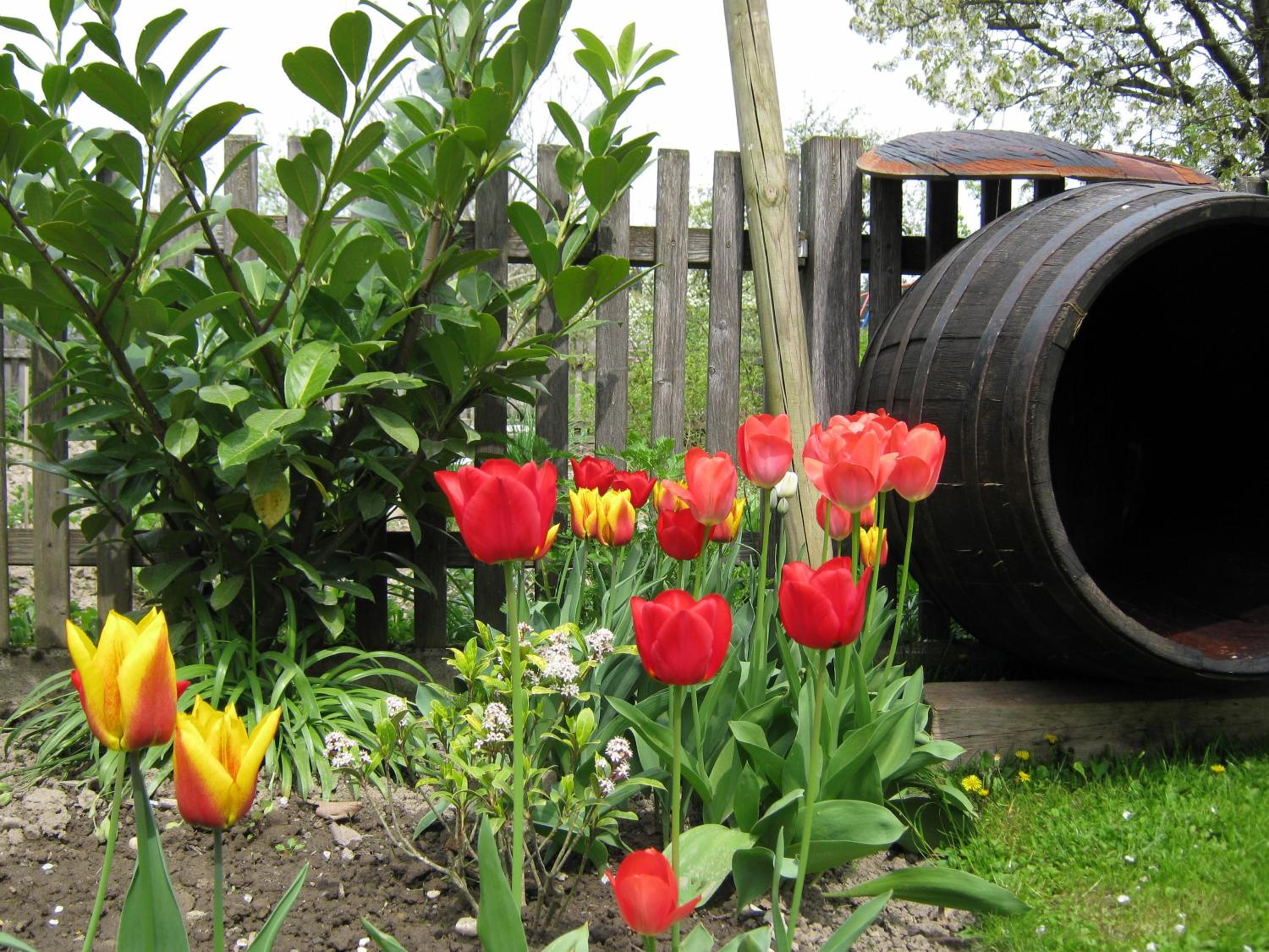 Photo 46