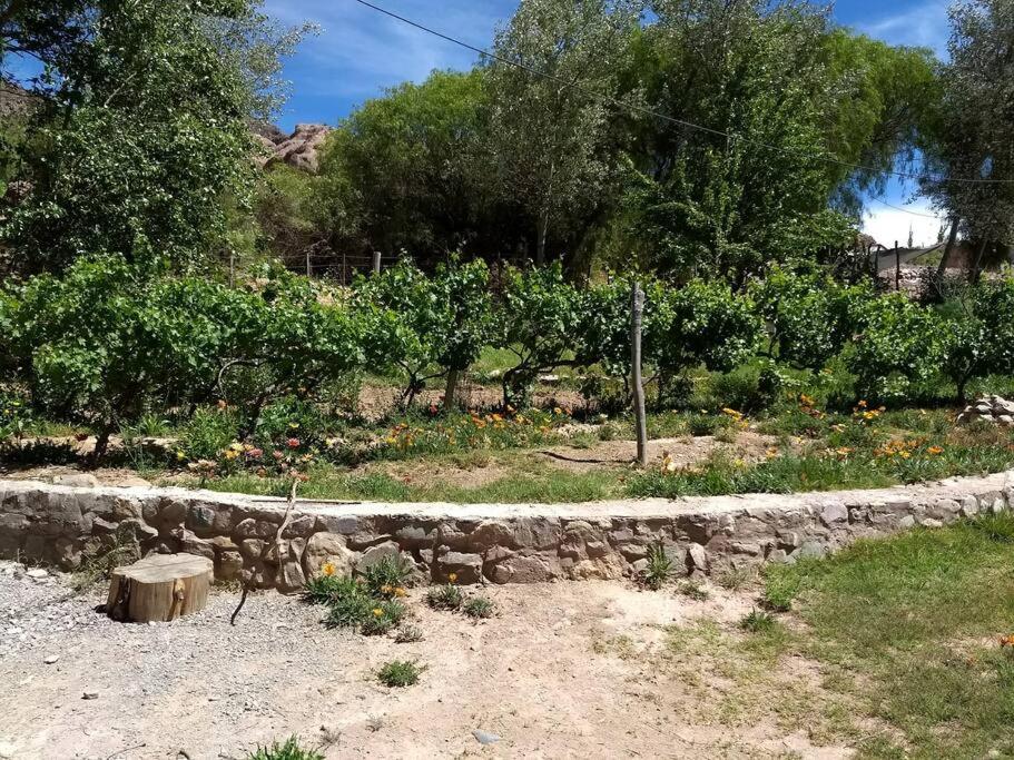 La Amarilla, casa con hermosa vista
