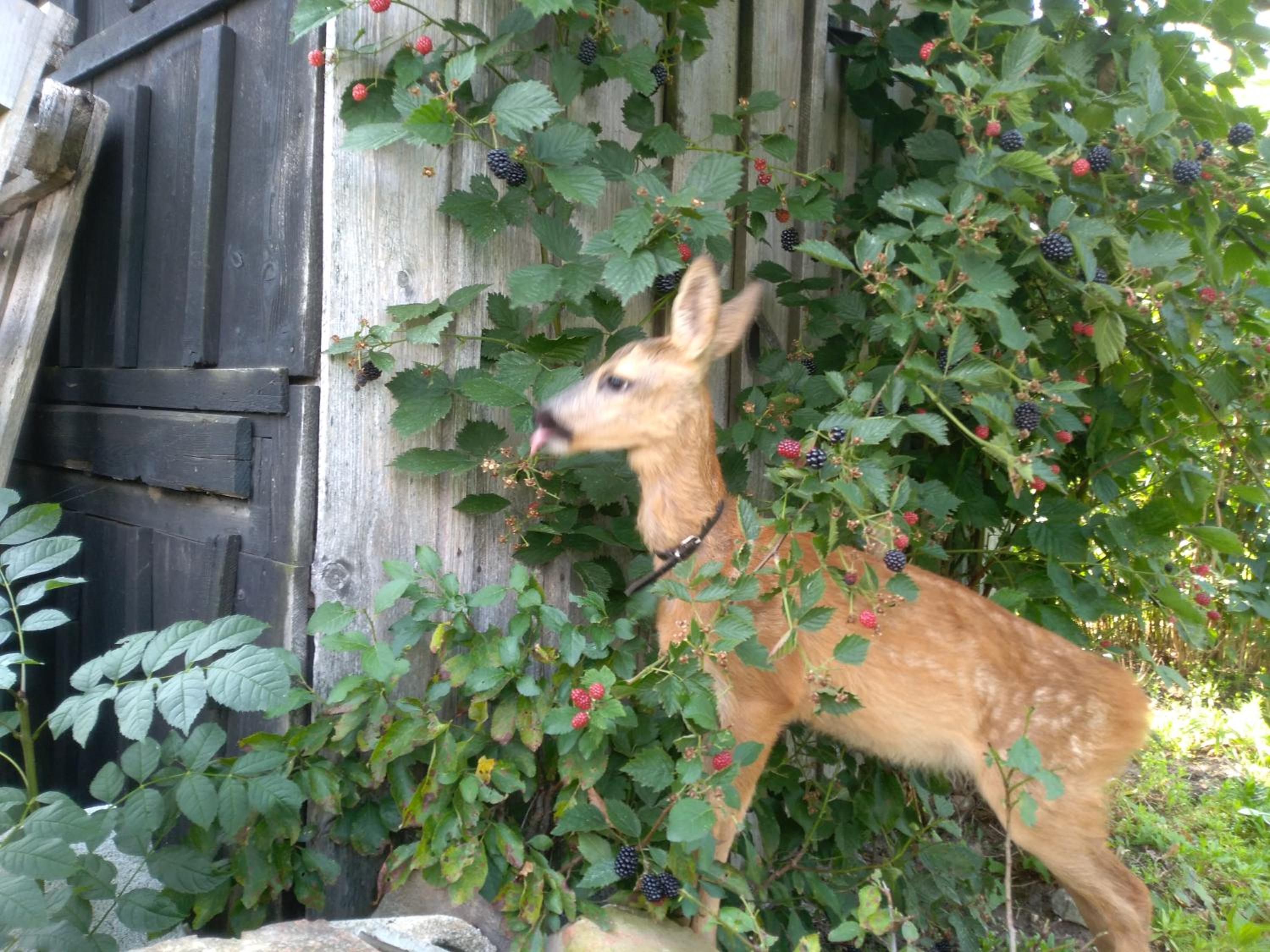 Photo 48