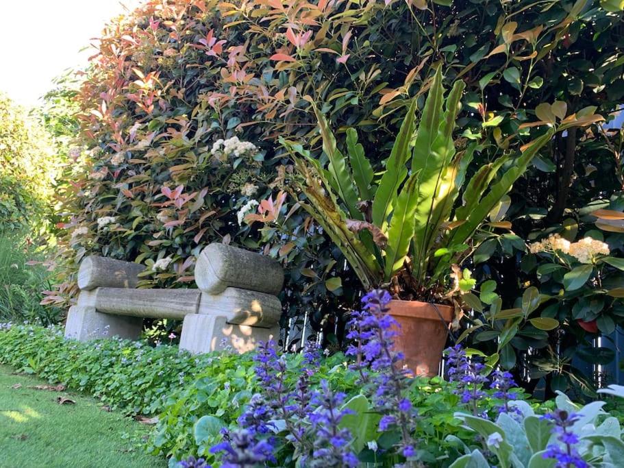 Botanic Bliss Bungalow