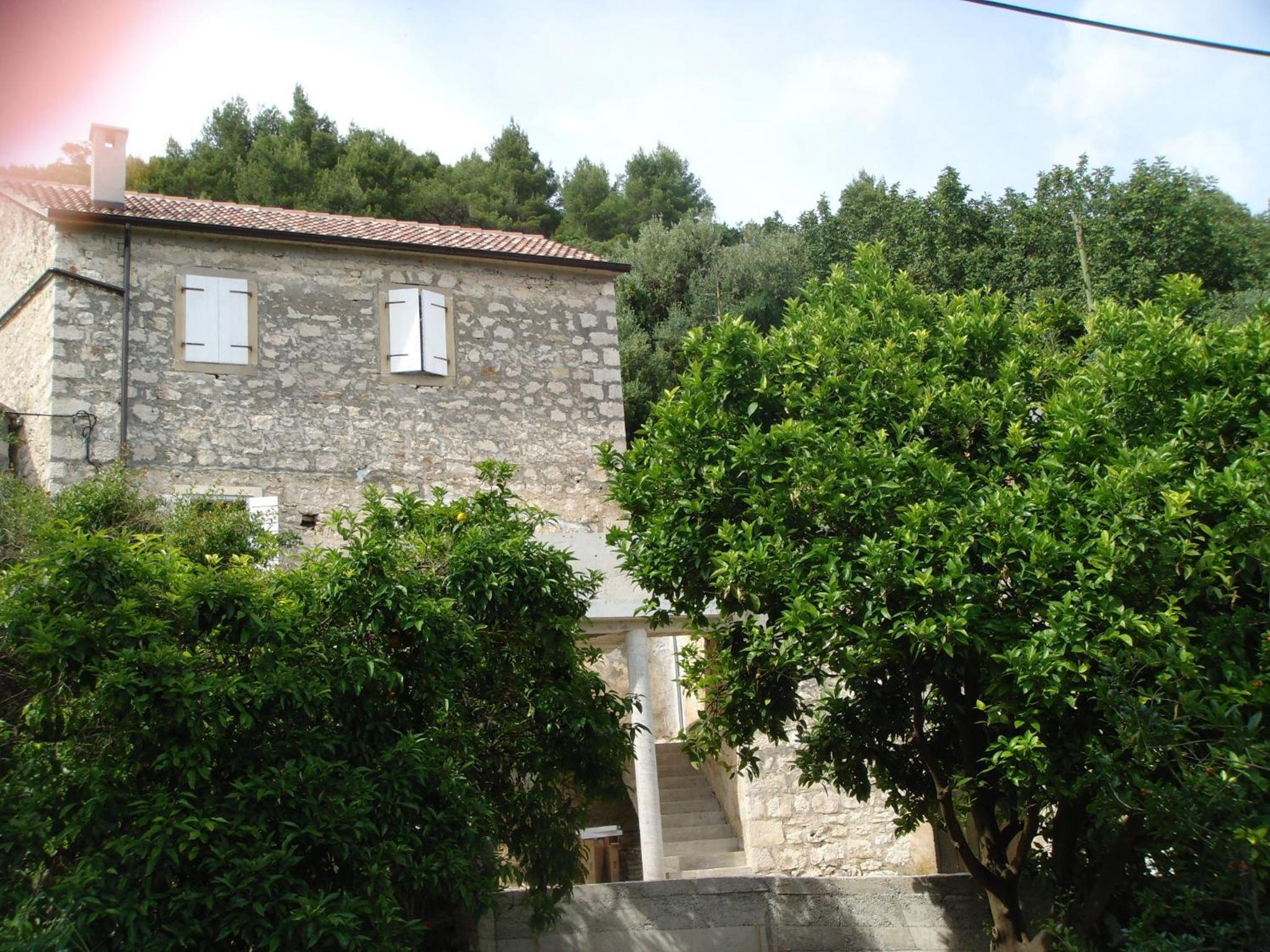 Photo 45