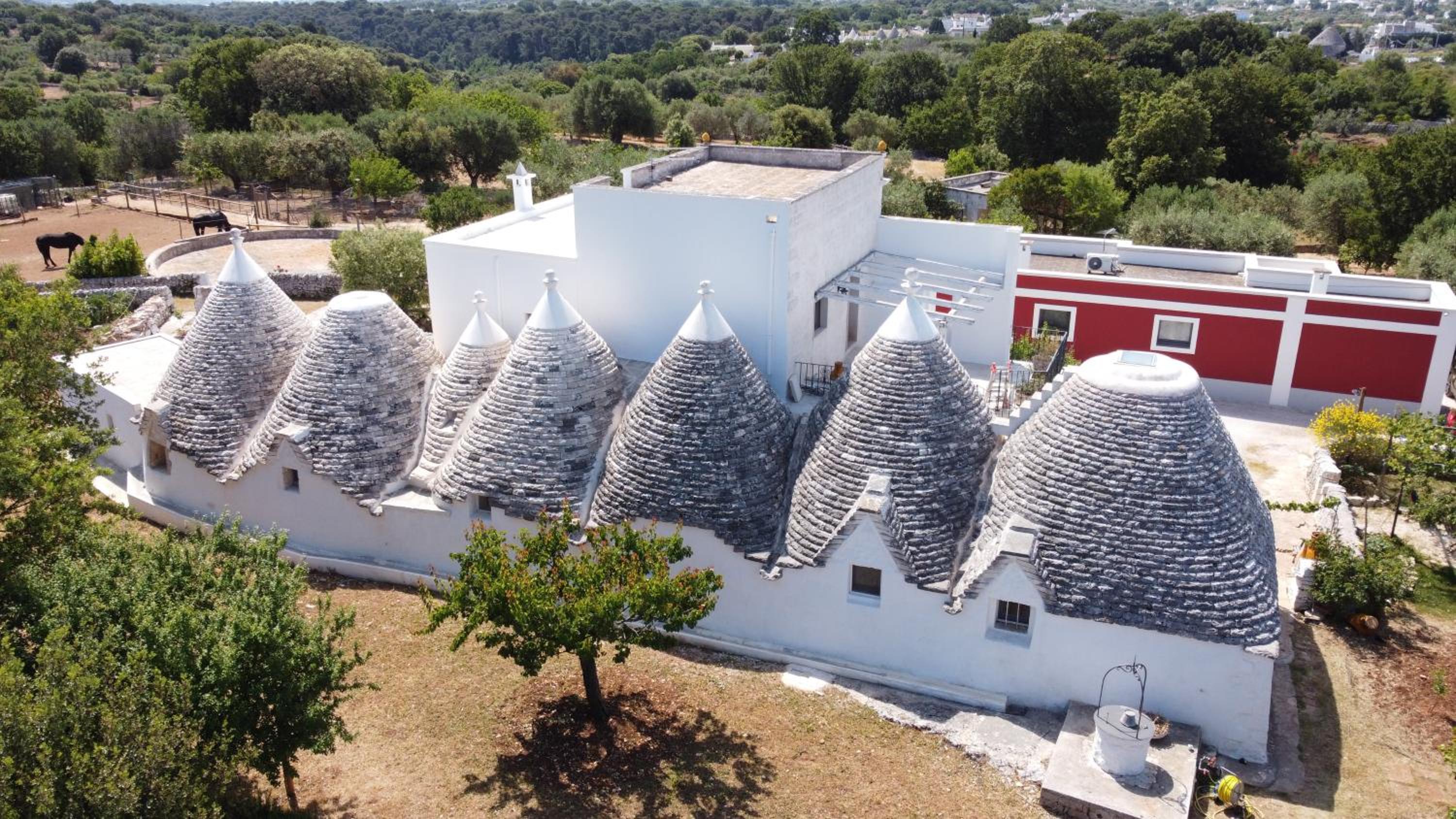 Masseria Trulli sull'Aia view 3