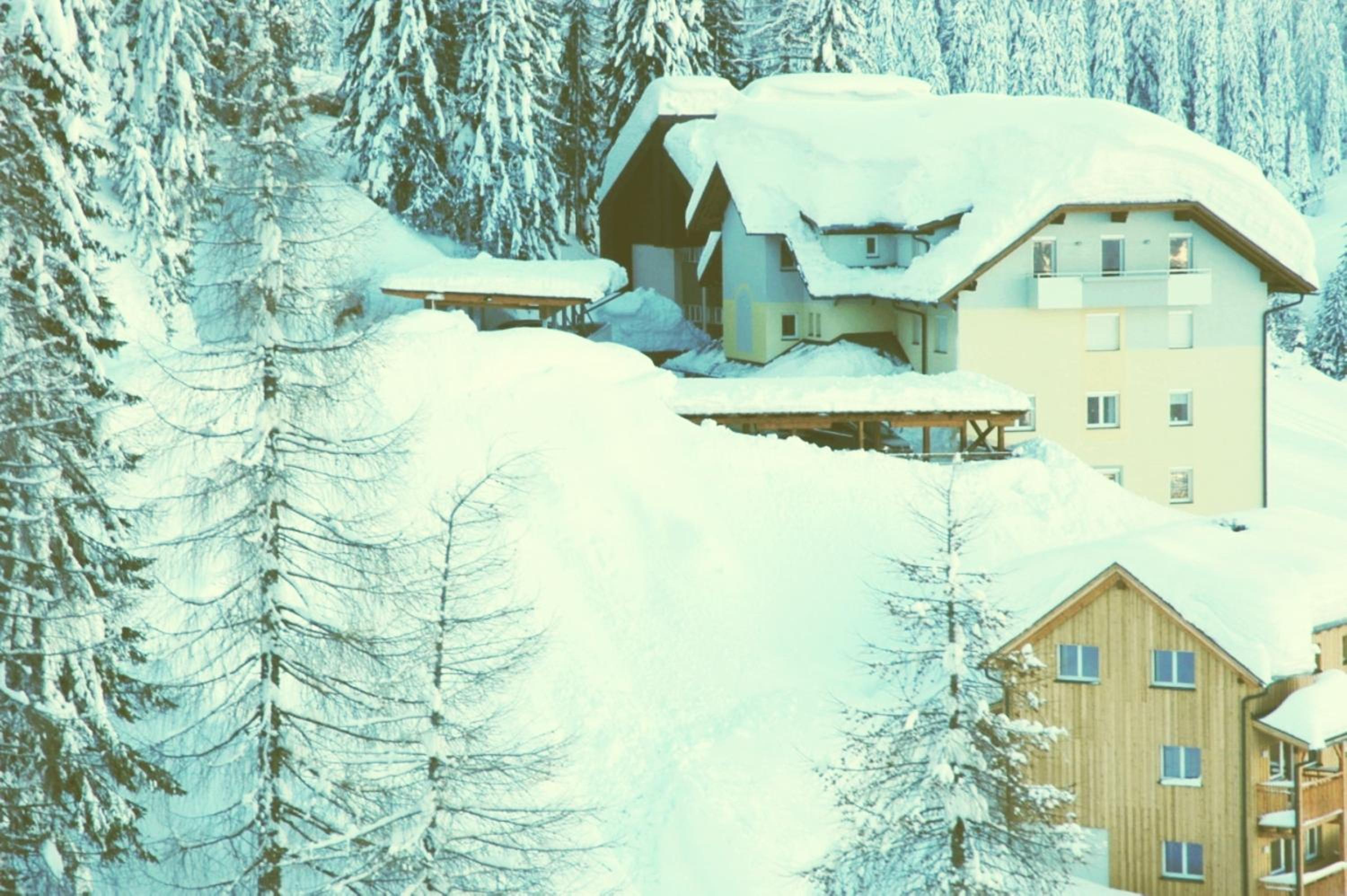 Apartments Bergblick