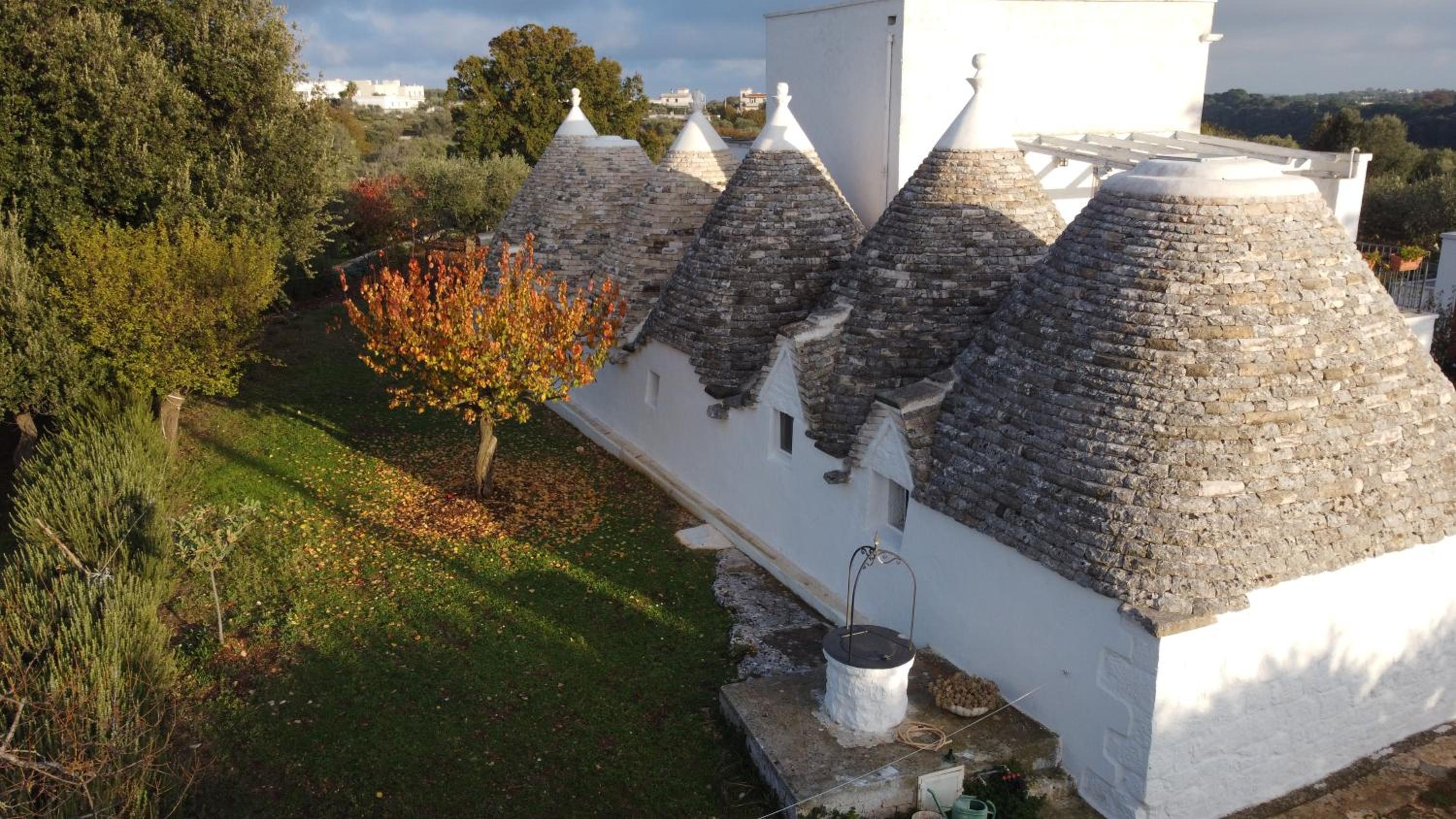 Masseria Trulli sull'Aia view 2