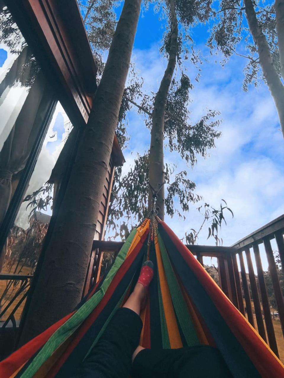 Casa en el Árbol Guatavita