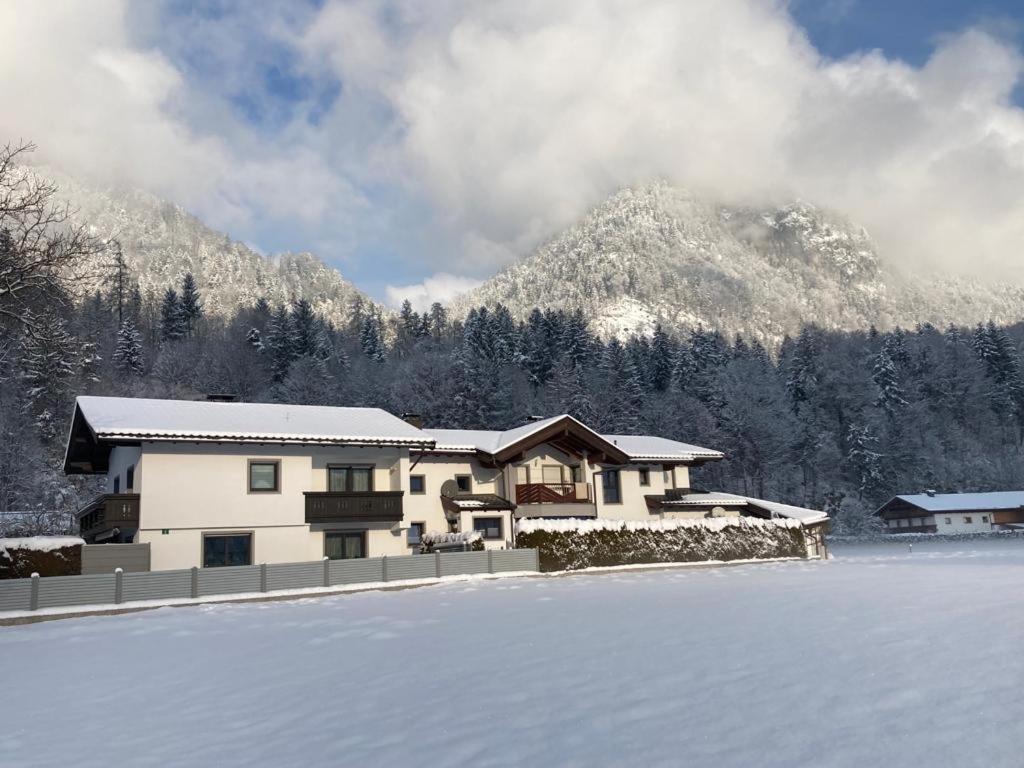 Apartment in der Au
