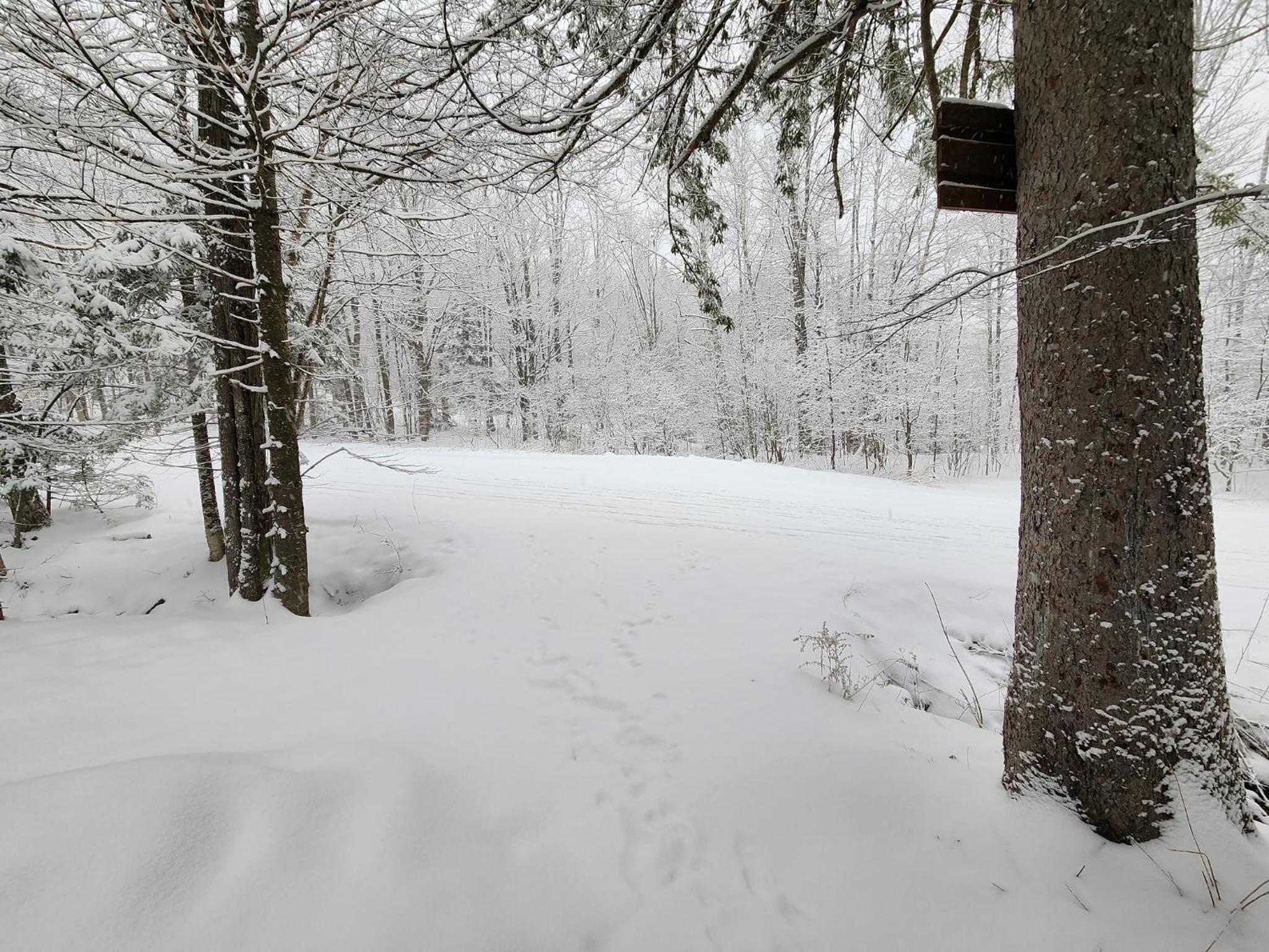 Ski in/out Spruce Glen Townhomes on Great Eastern Trail