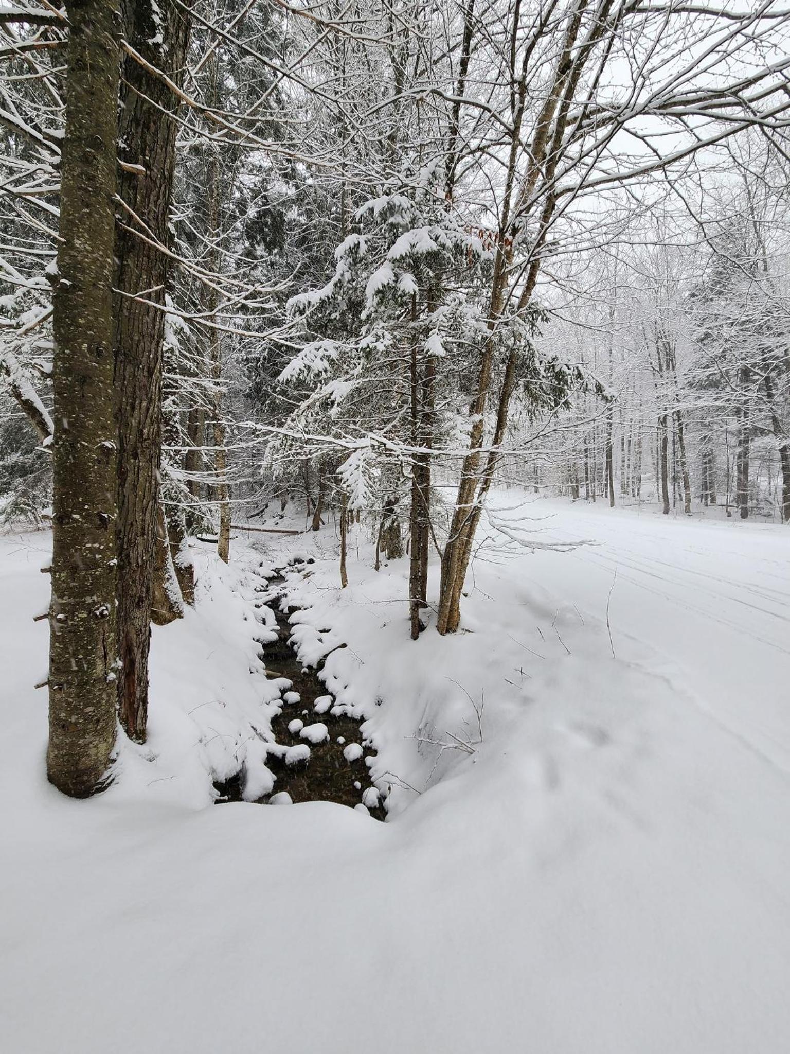 Ski in/out Spruce Glen Townhomes on Great Eastern Trail