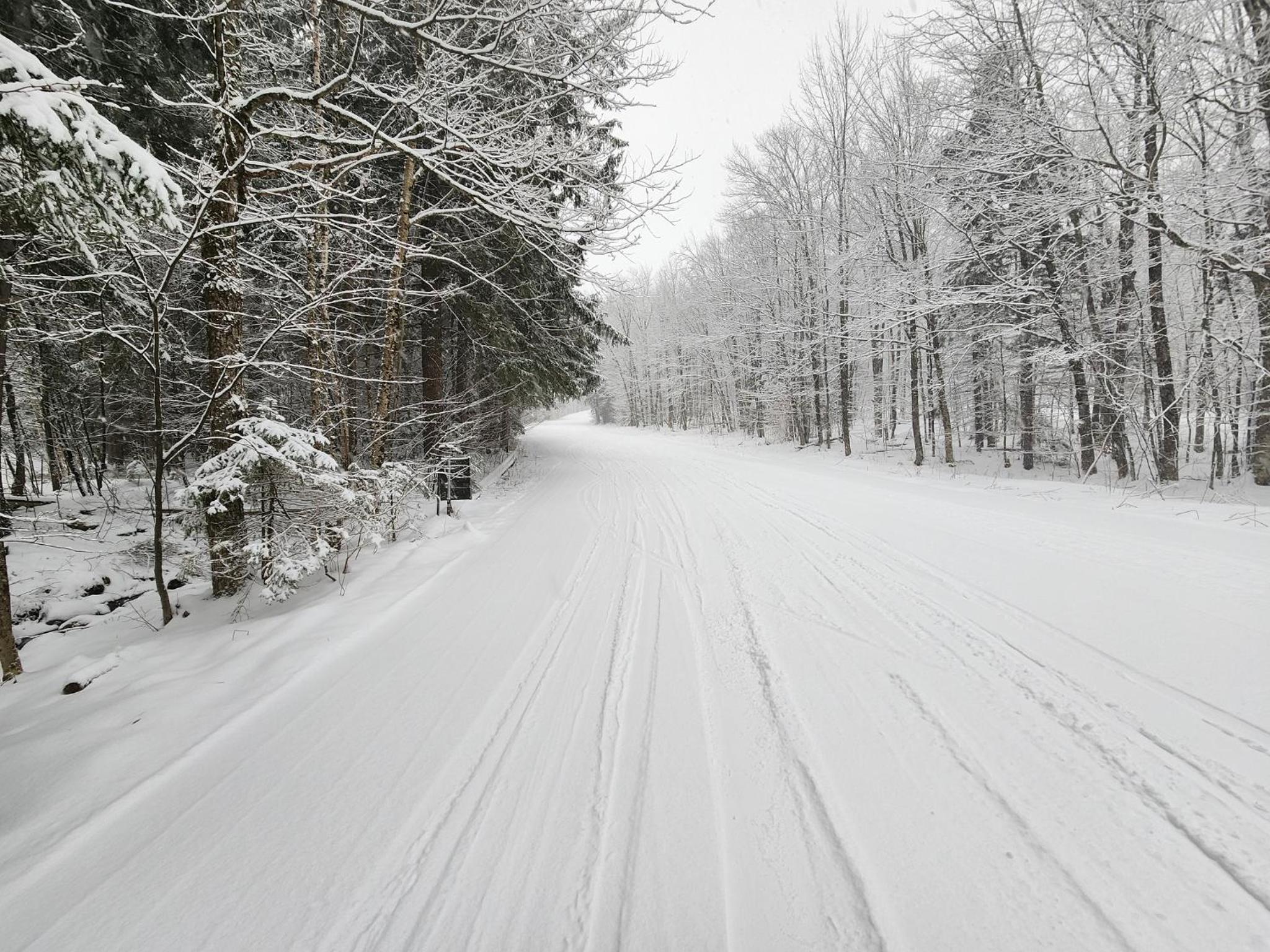 Ski in/out Spruce Glen Townhomes on Great Eastern Trail