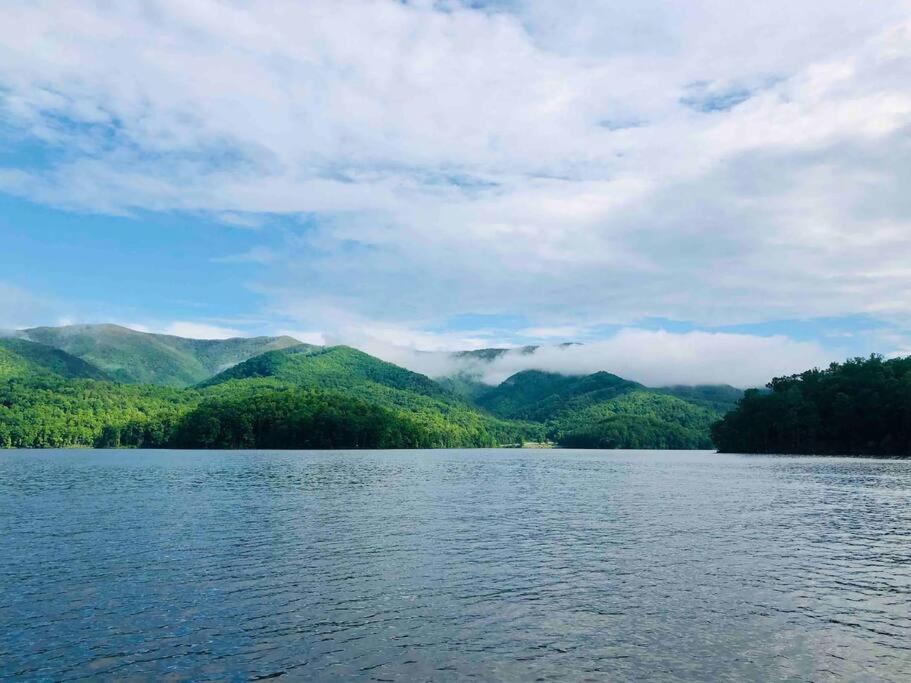 Cabin at the cove at Watauga Lake view 4