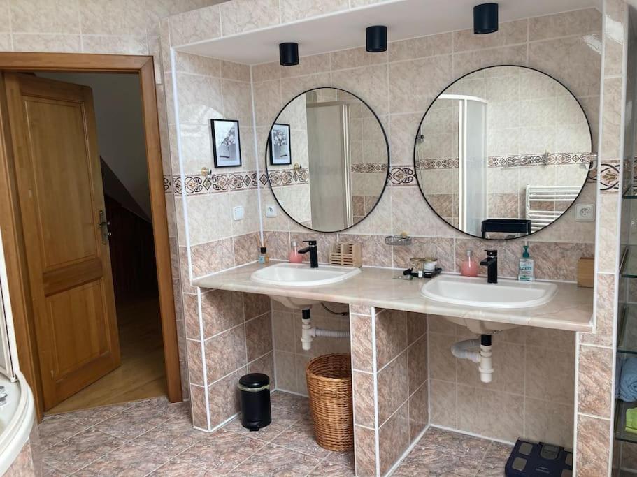 Spacious villa with an outdoor pool in Černošice