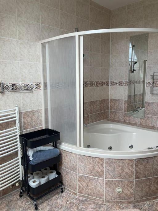 Spacious villa with an outdoor pool in Černošice