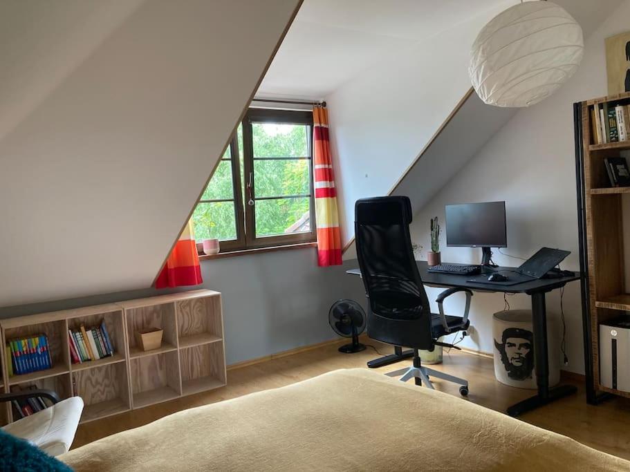 Spacious villa with an outdoor pool in Černošice