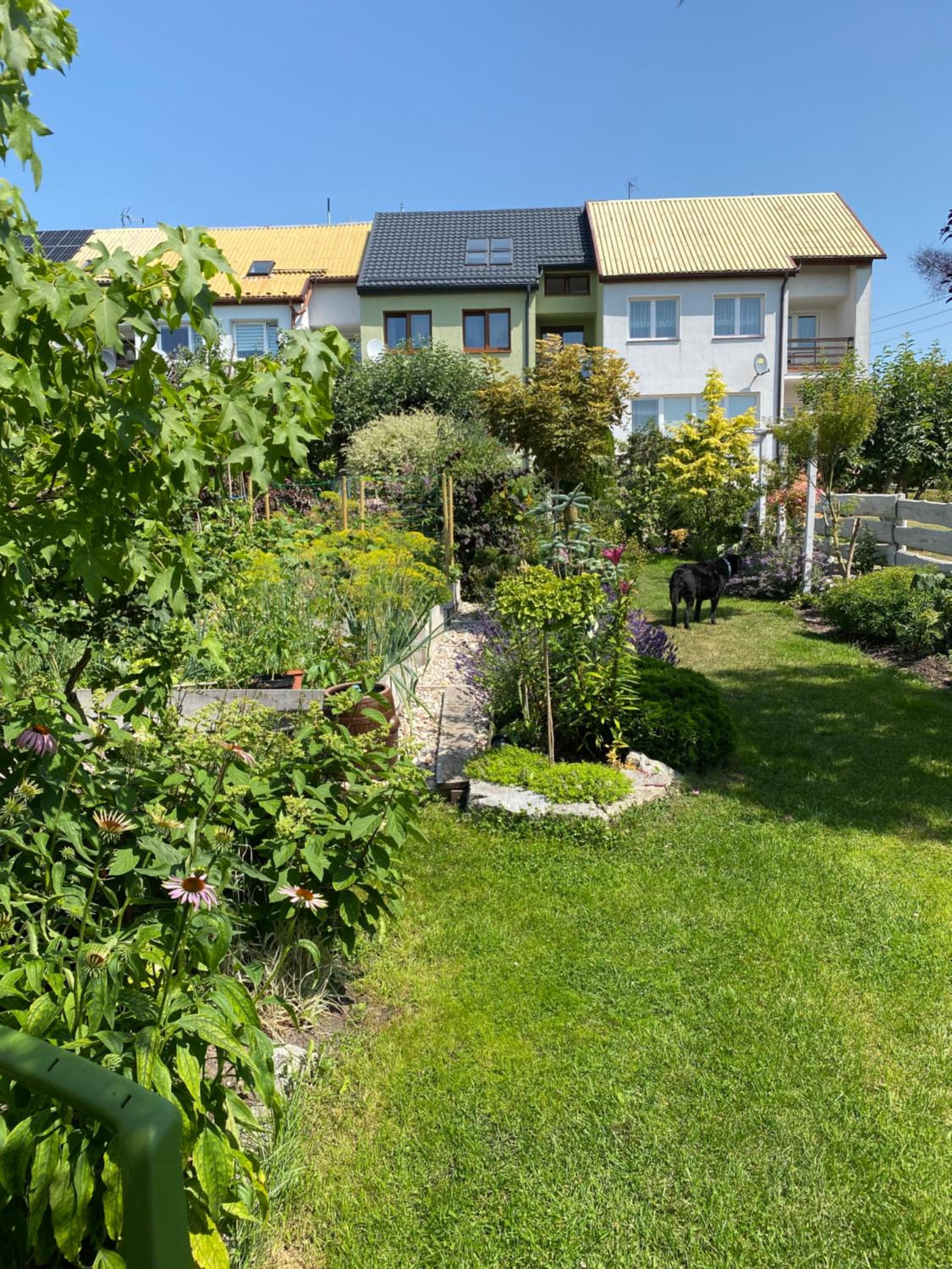 Apartament " POD NIEBIESKIM PAGAJEM " view 4