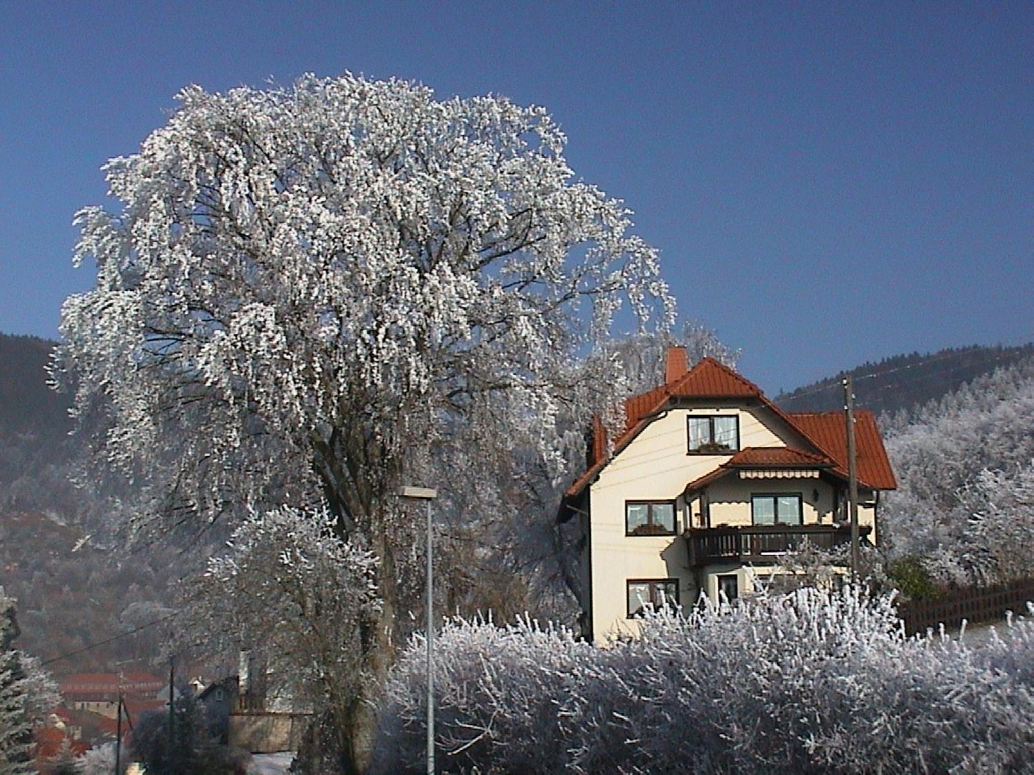 Photo 54