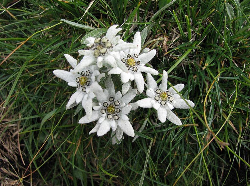 Photo 49