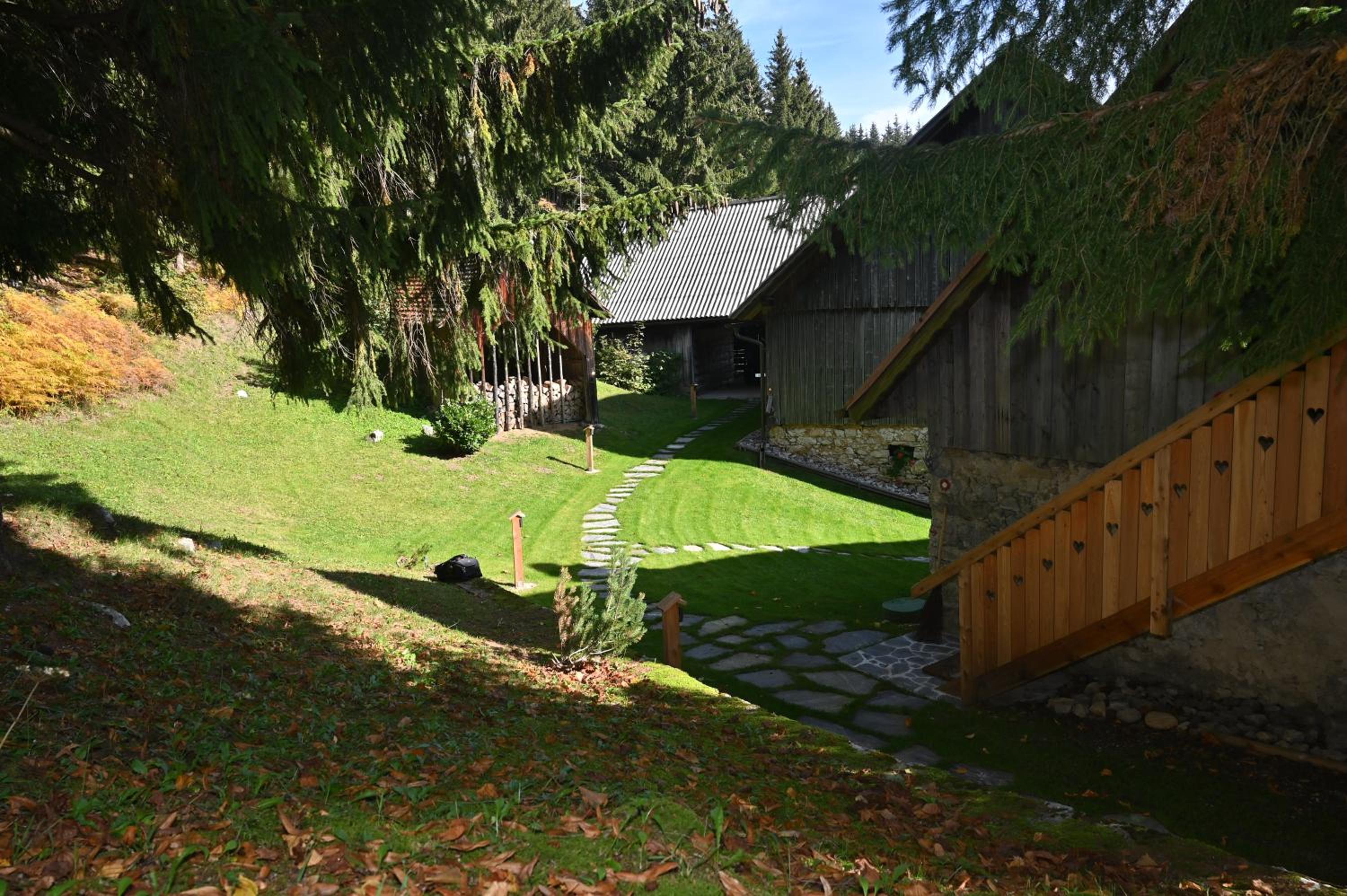 Photo 21