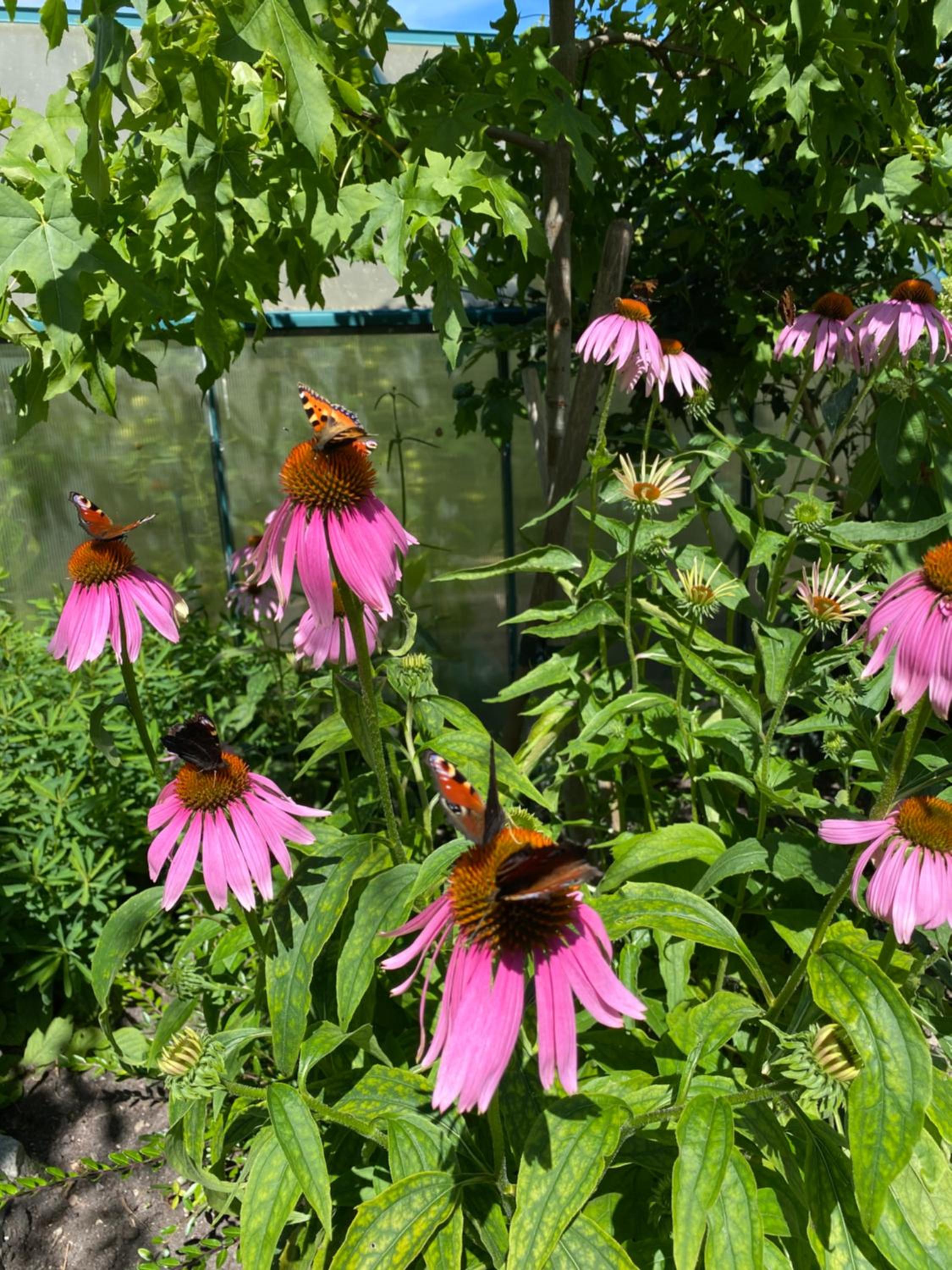 Apartament " POD NIEBIESKIM PAGAJEM " view 5