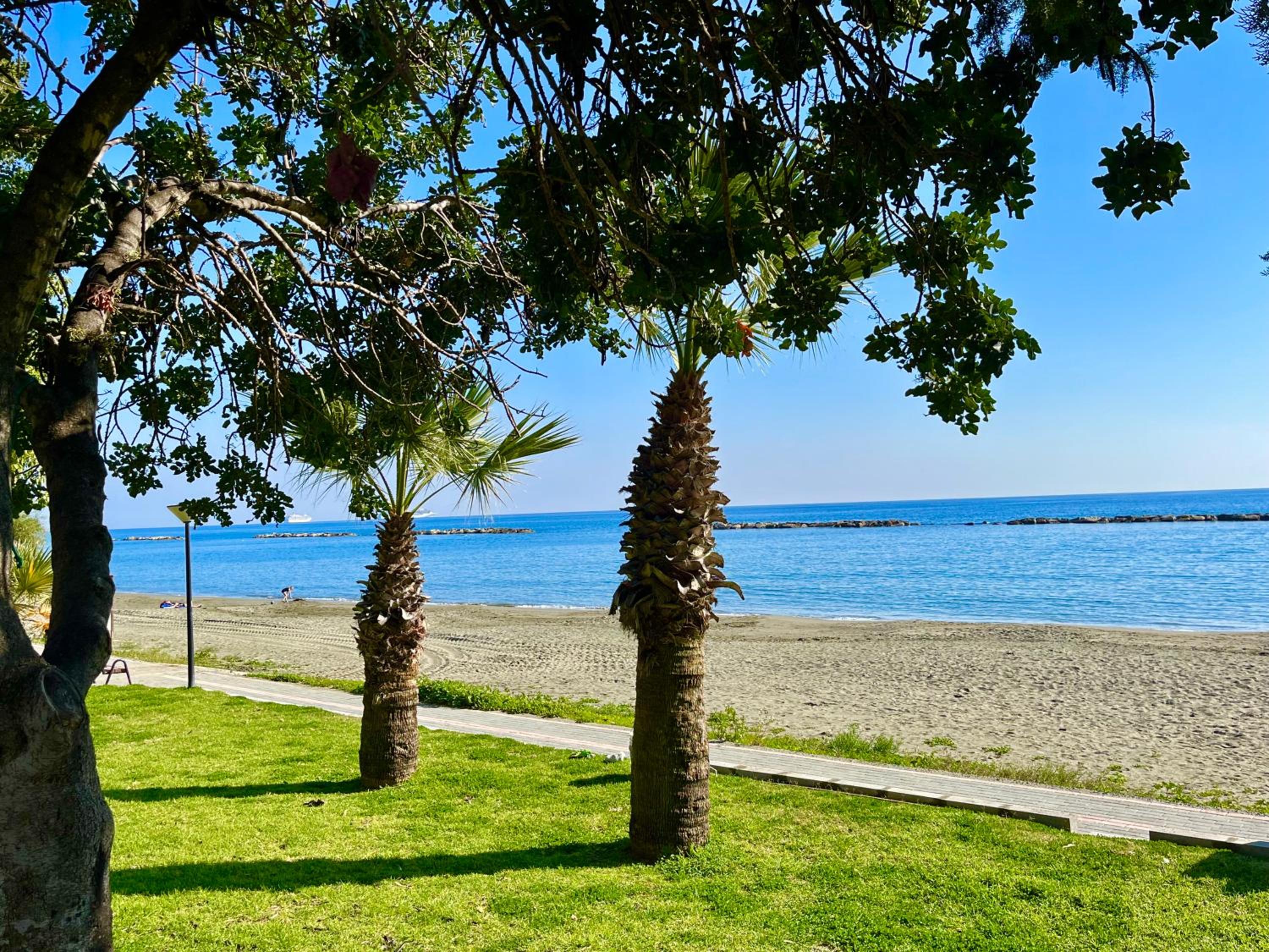 Limassol Vacations - Dream Beachfront Bungalow - Property Image 6