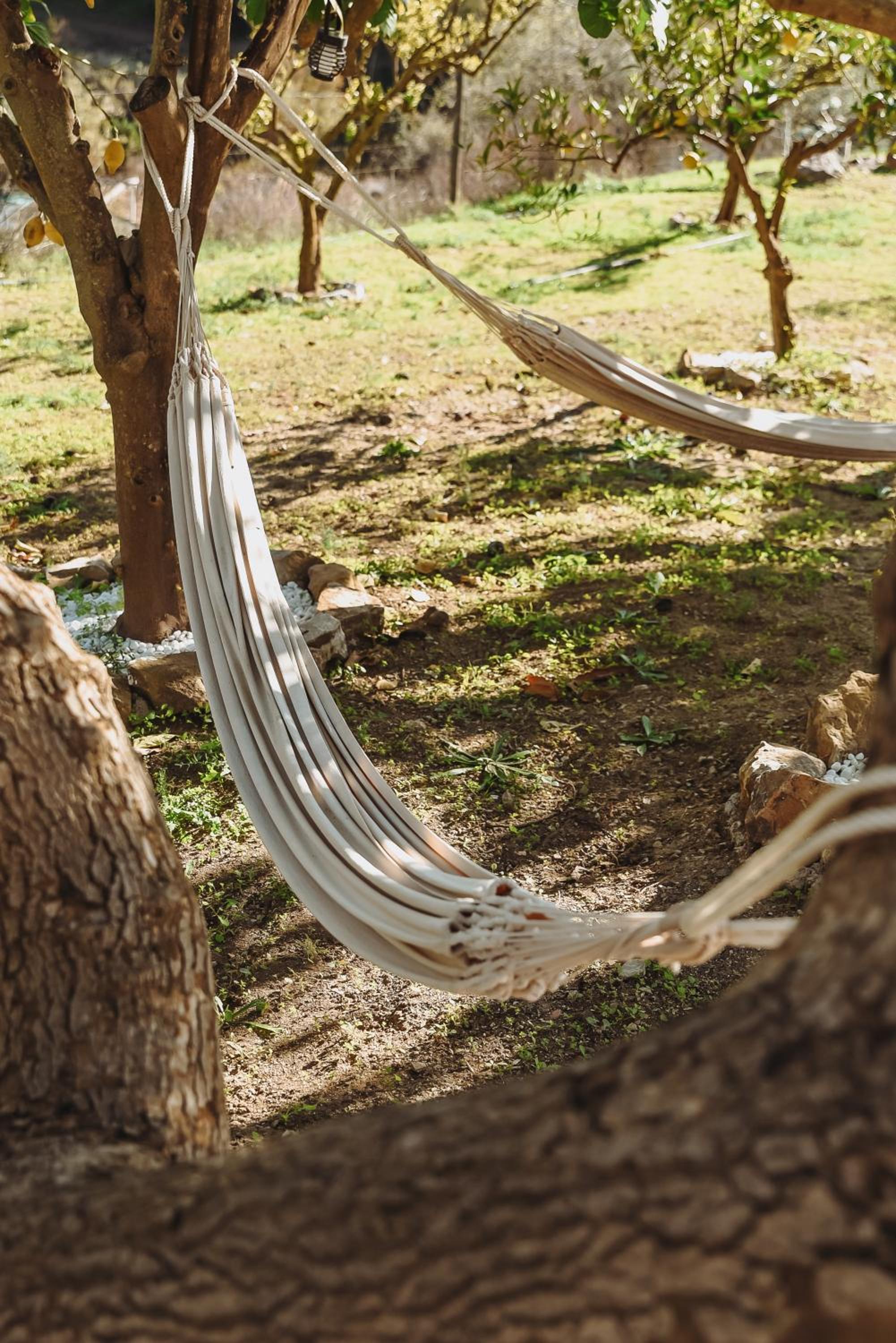 Finca Elements
